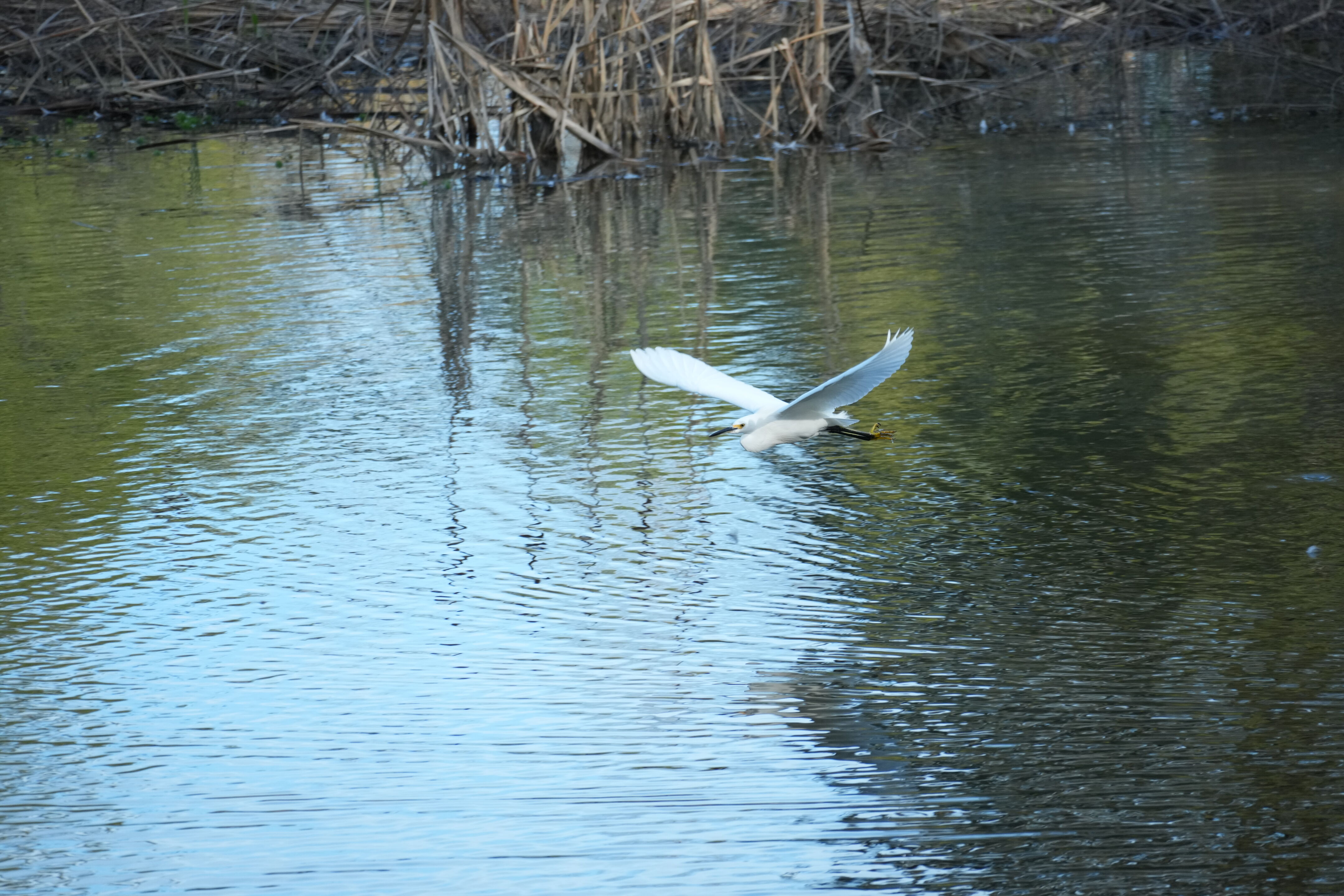 Don Castro Regional Recreation Area