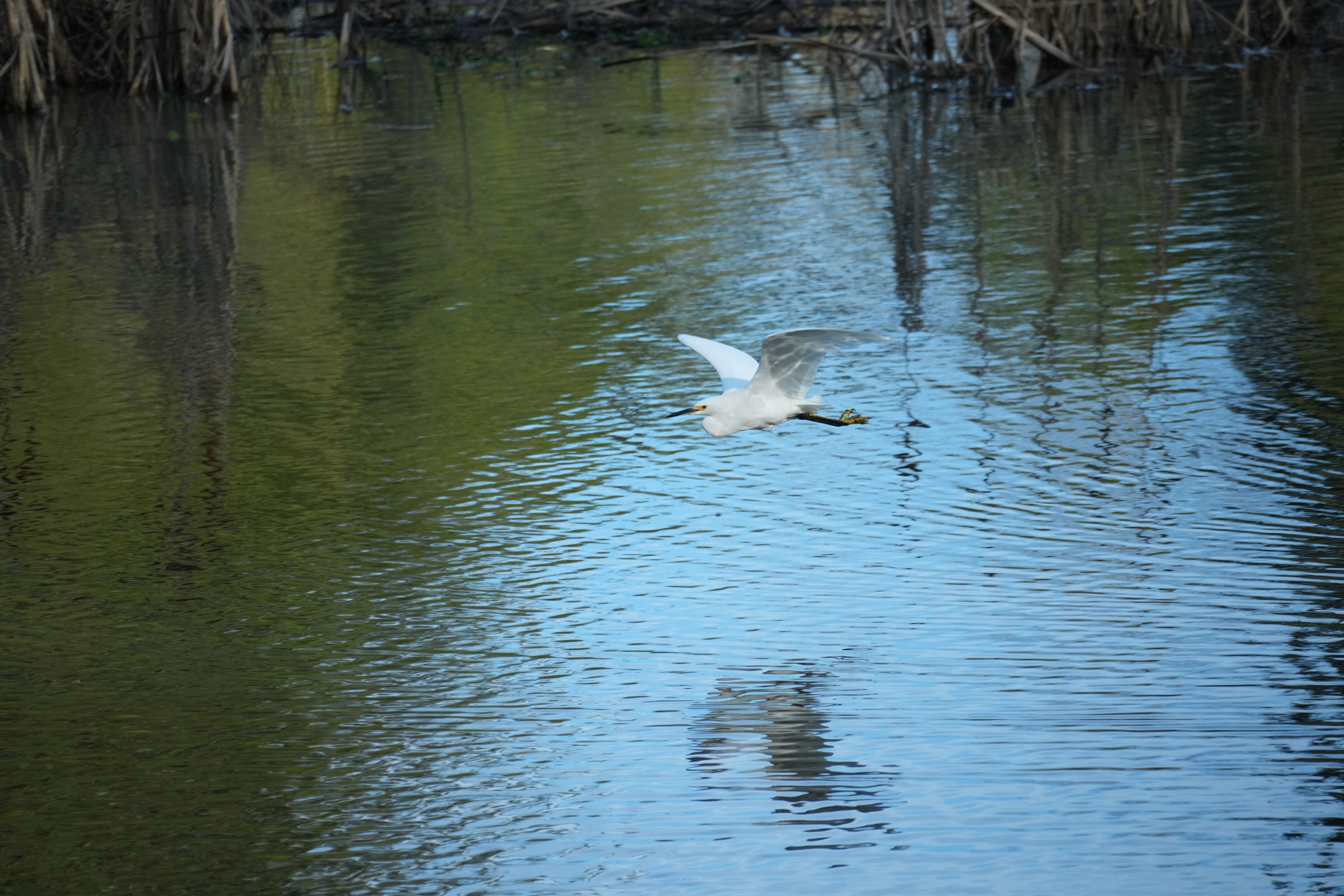 Don Castro Regional Recreation Area