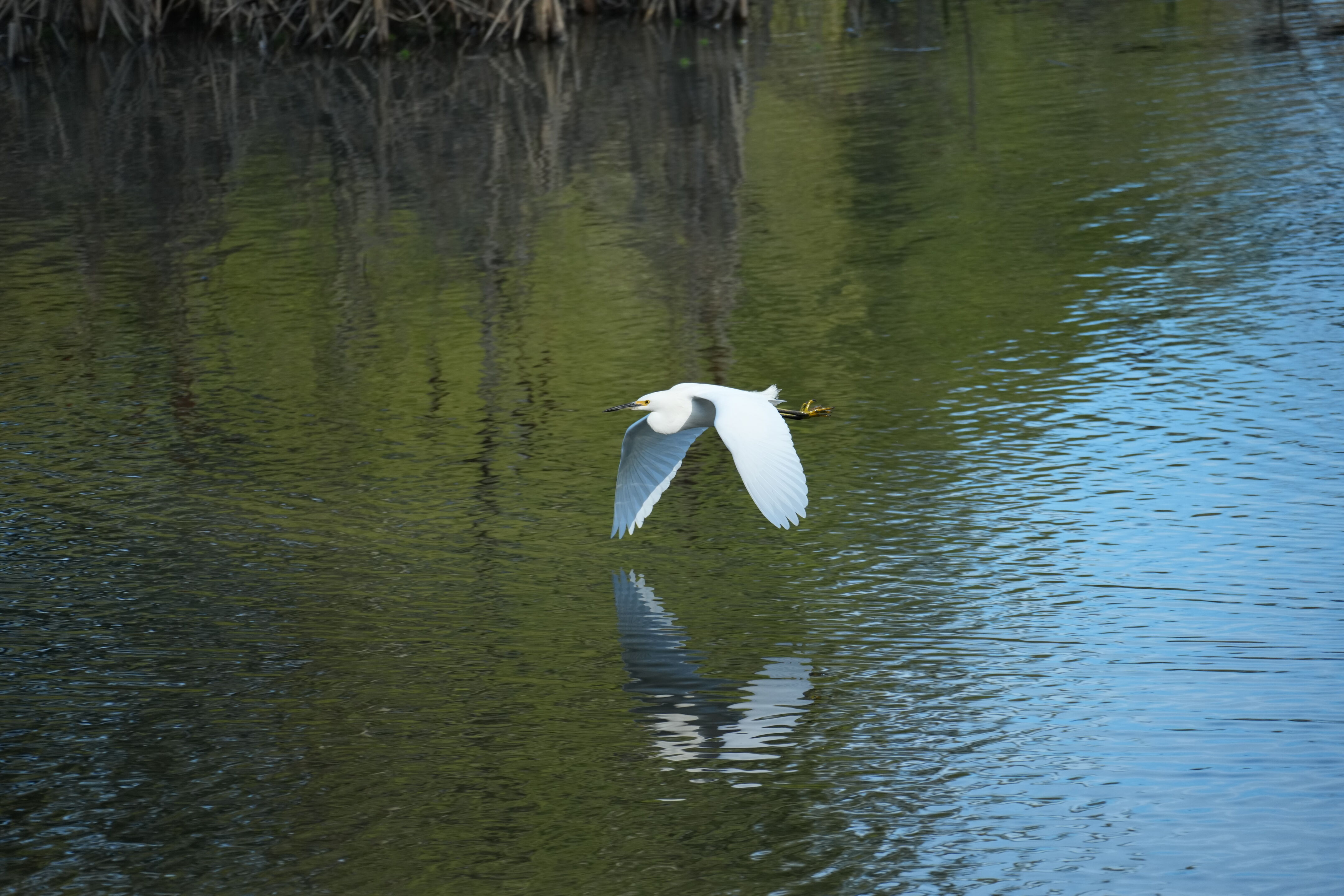 Don Castro Regional Recreation Area