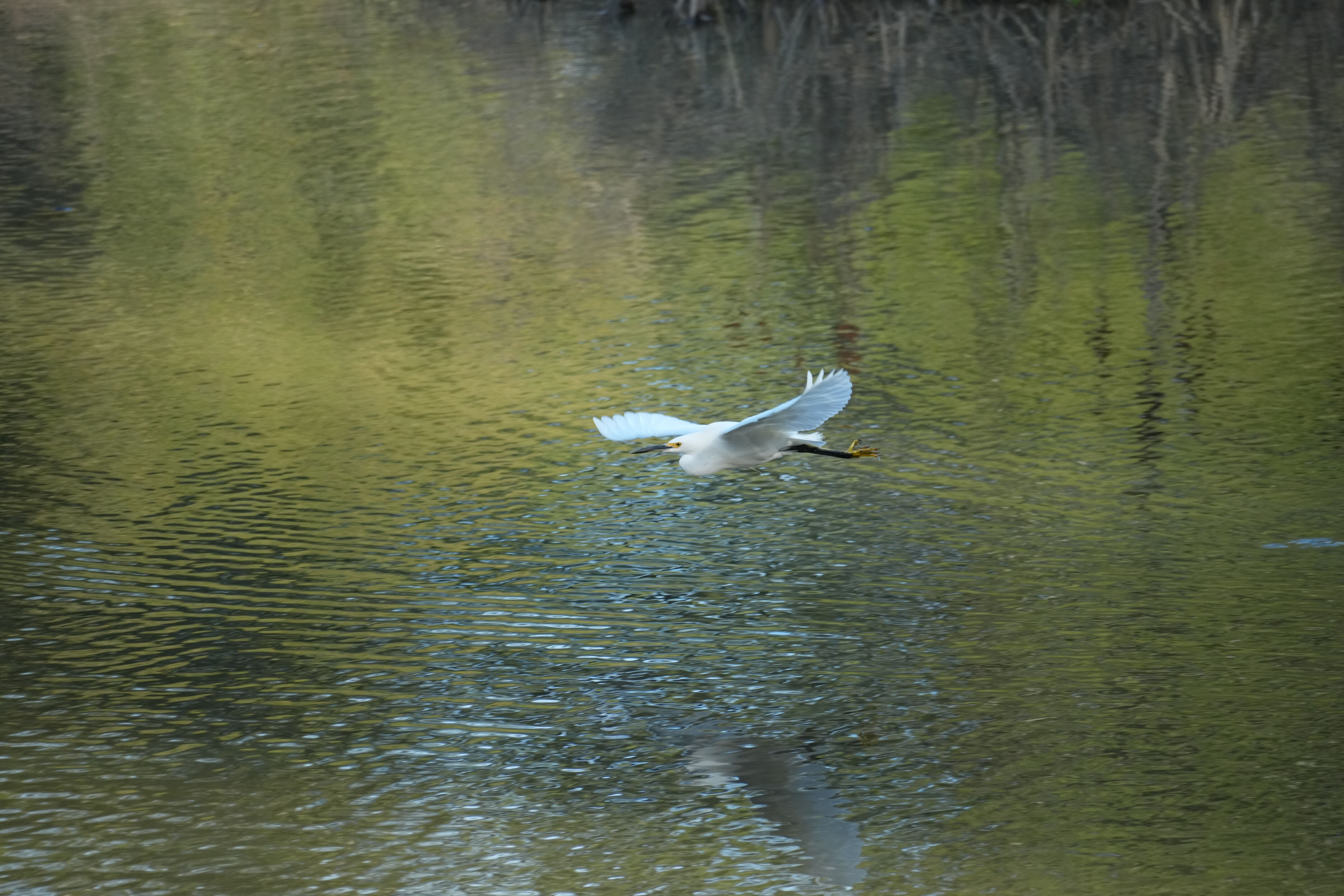 Don Castro Regional Recreation Area