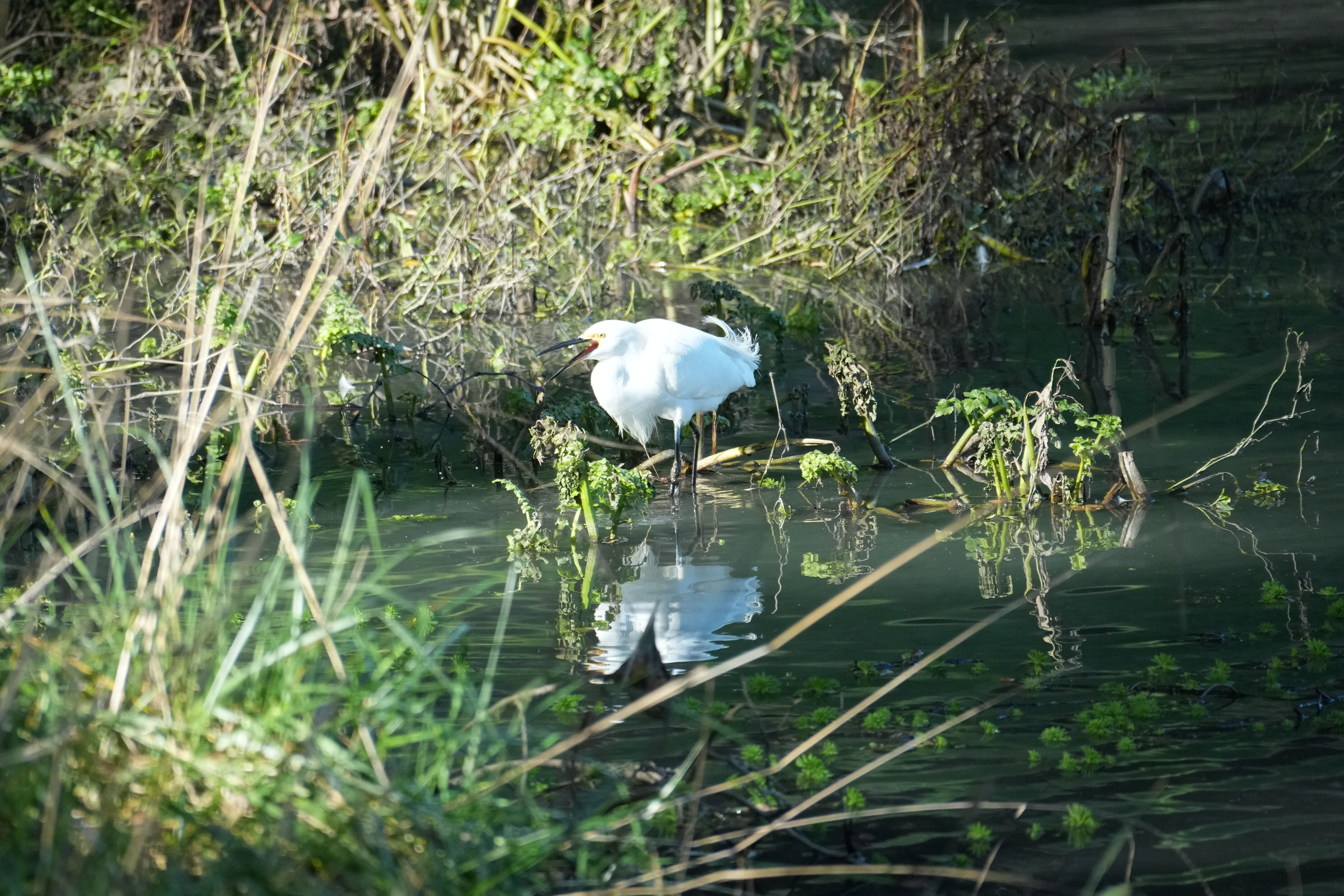 Don Castro Regional Recreation Area