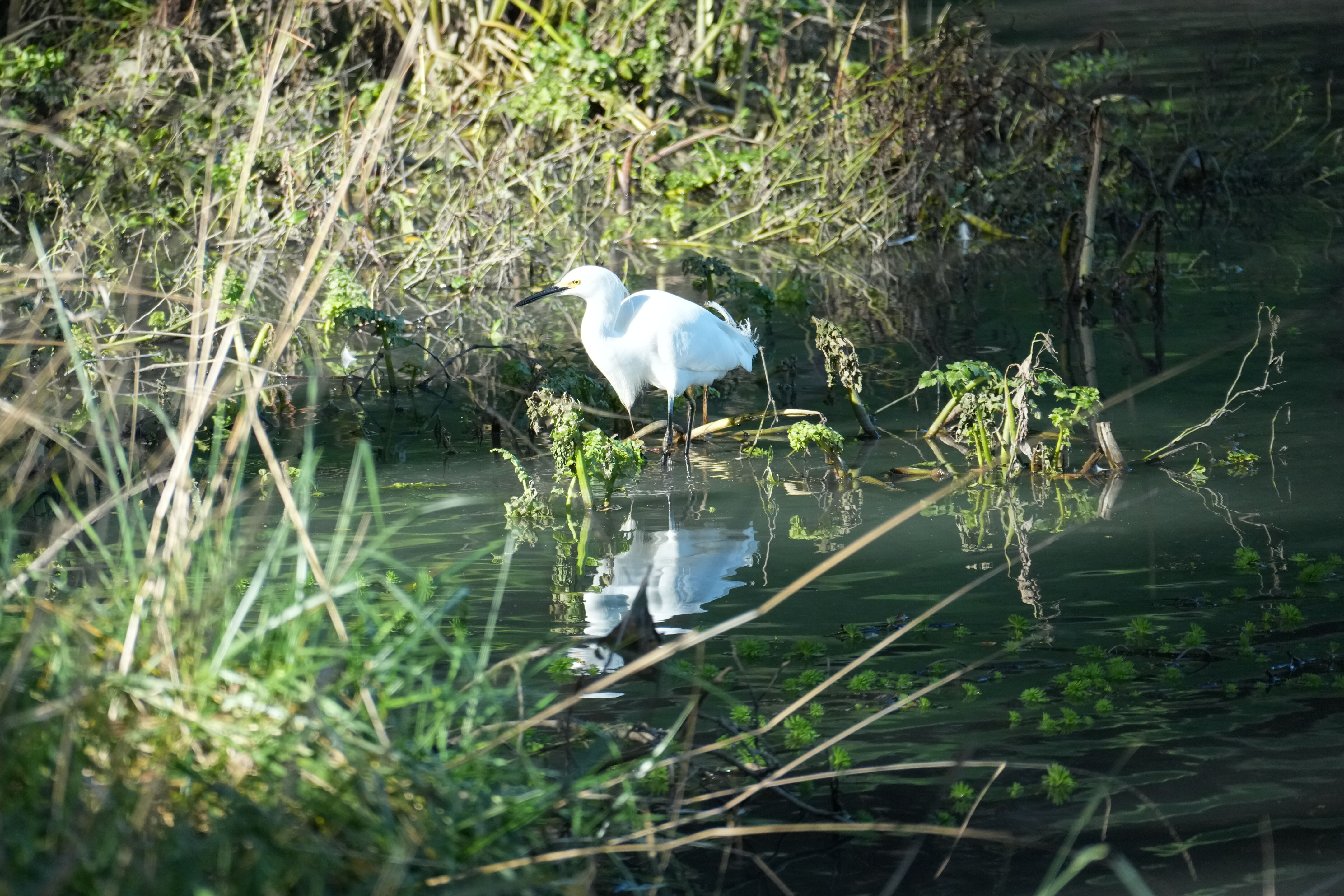Don Castro Regional Recreation Area