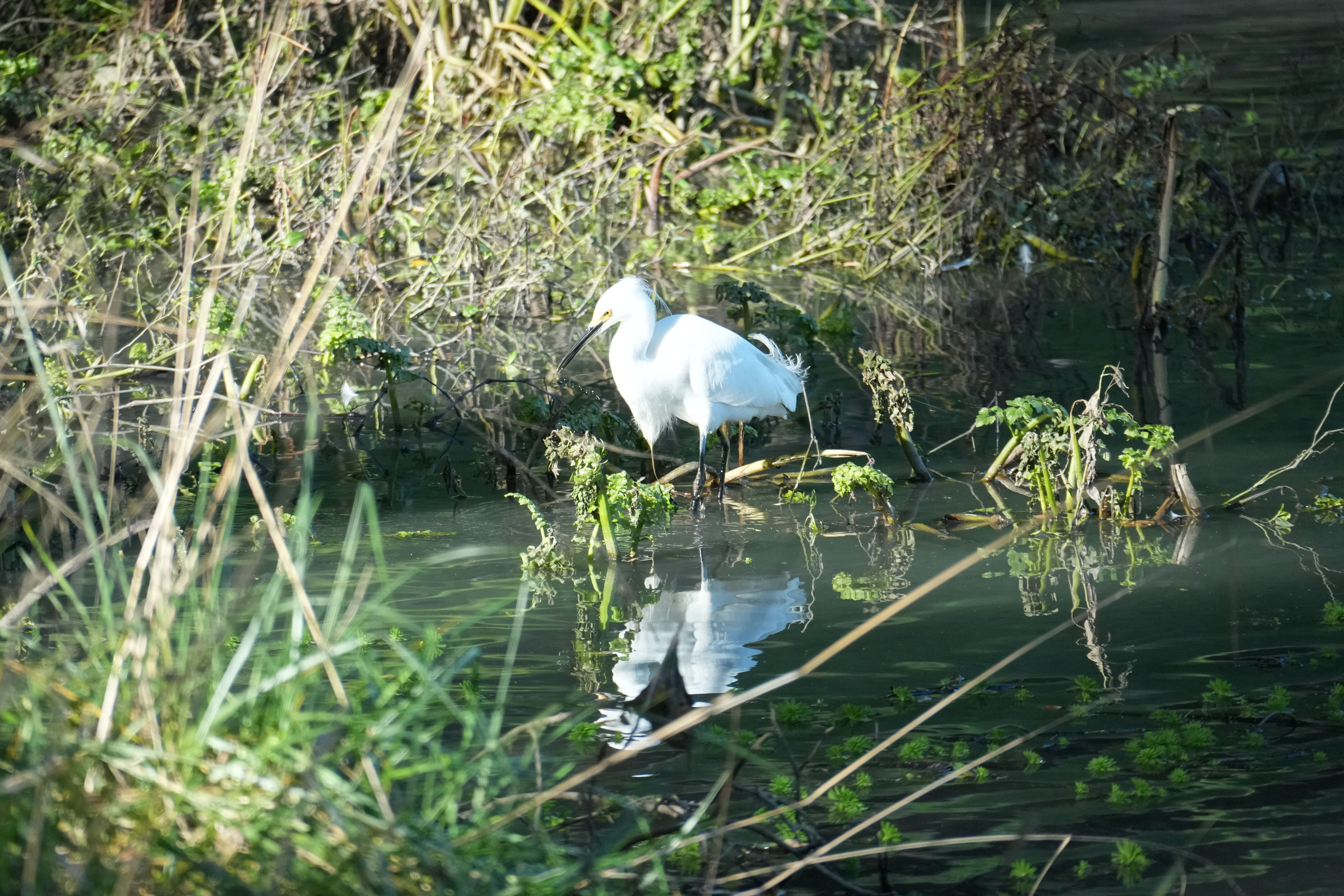 Don Castro Regional Recreation Area