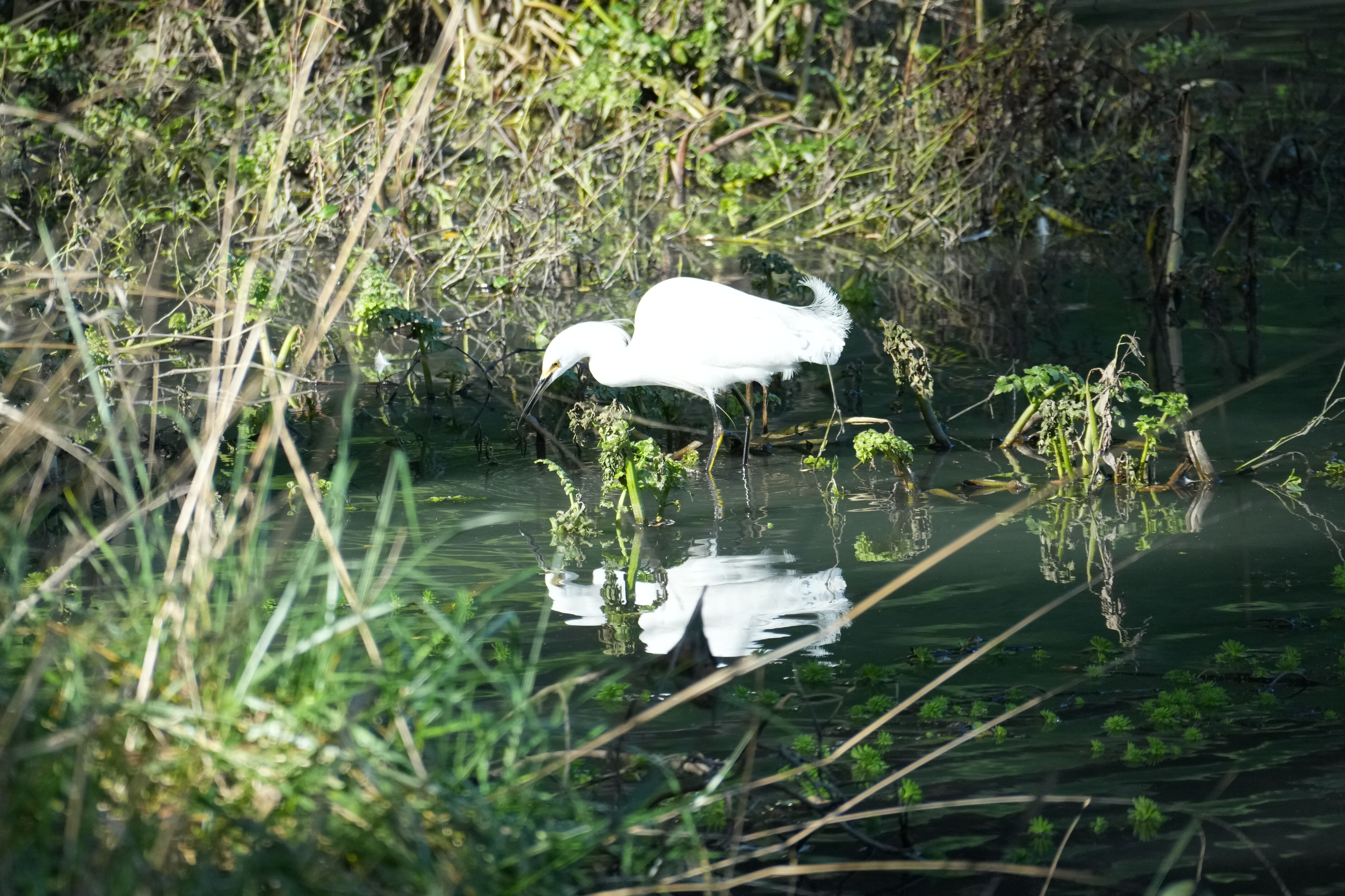 Don Castro Regional Recreation Area