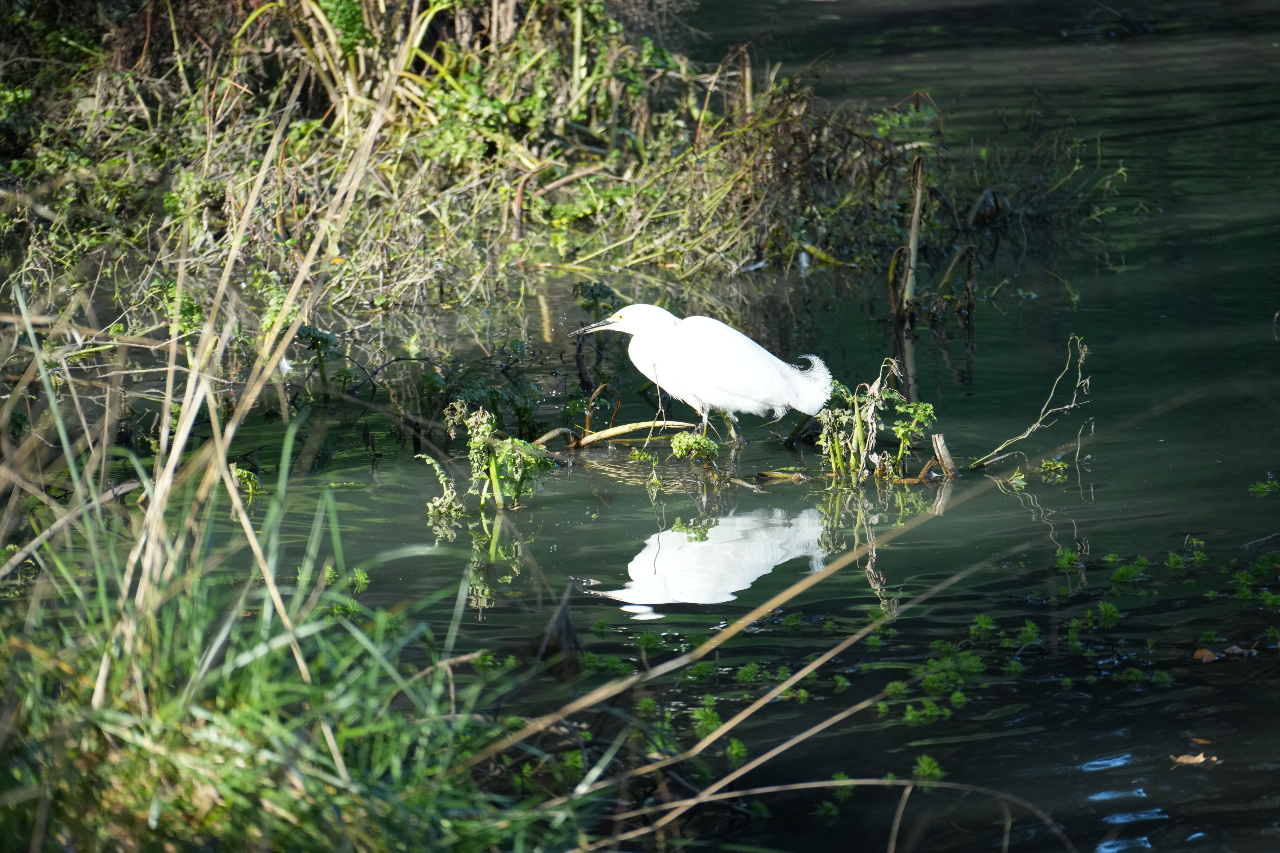 Don Castro Regional Recreation Area
