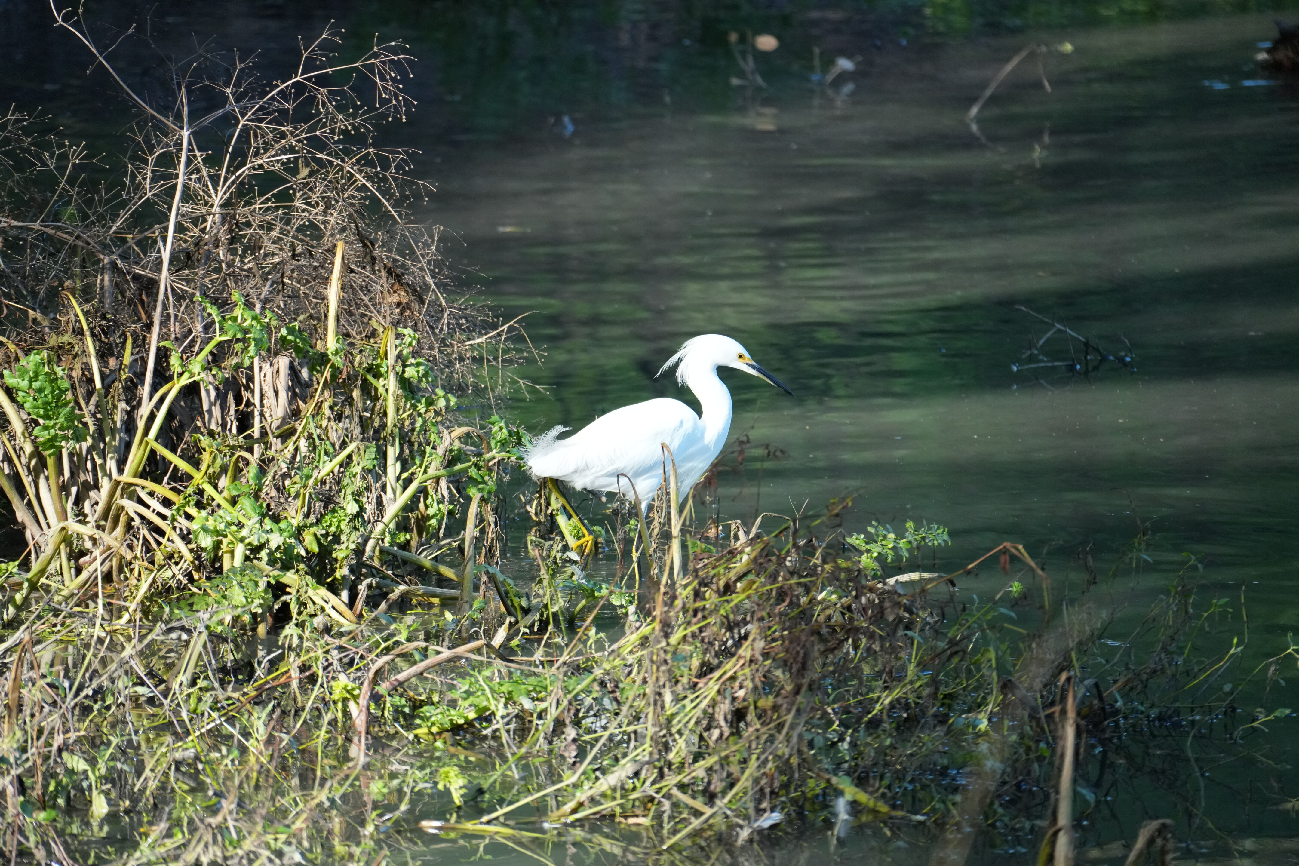 Don Castro Regional Recreation Area