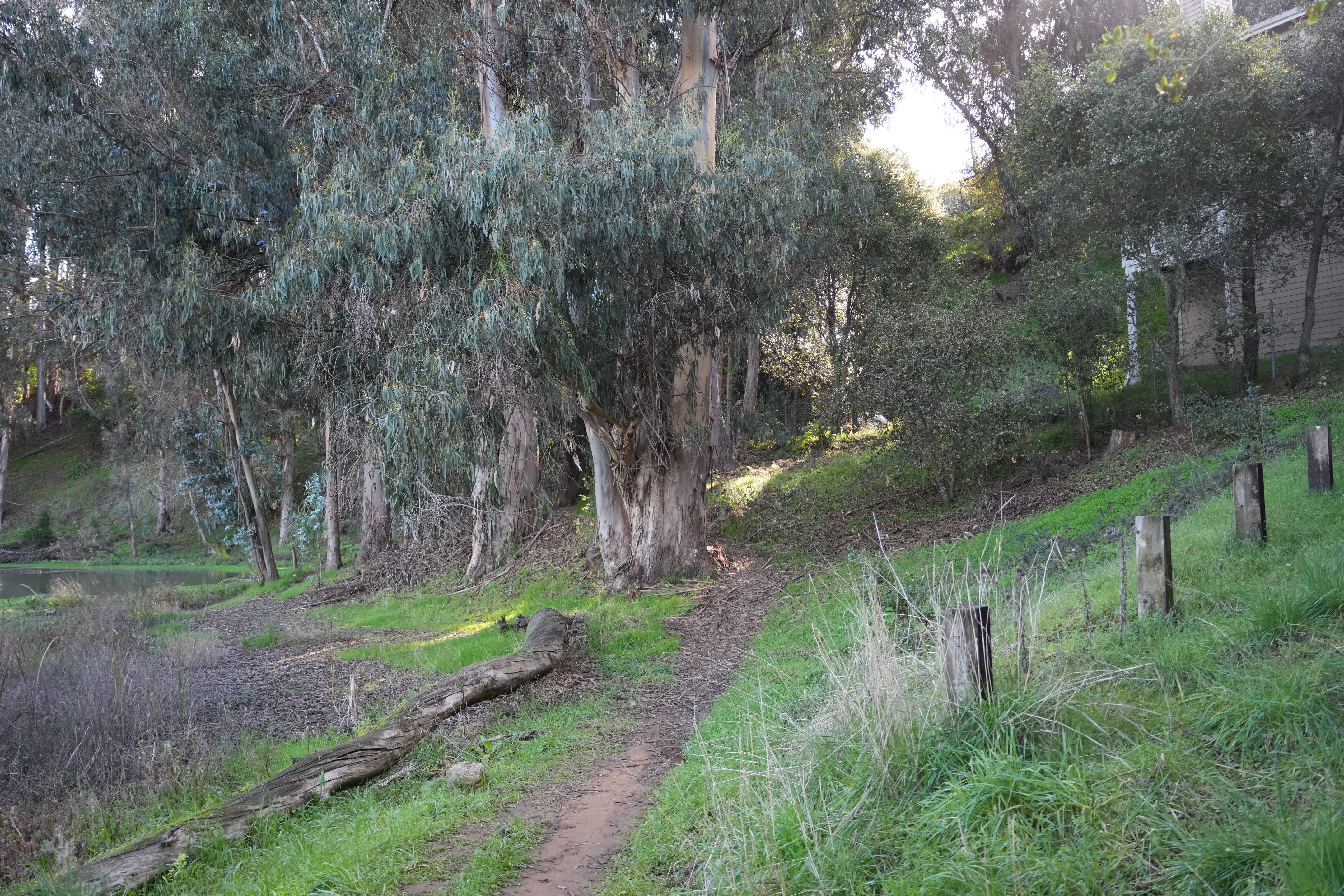 Don Castro Regional Recreation Area