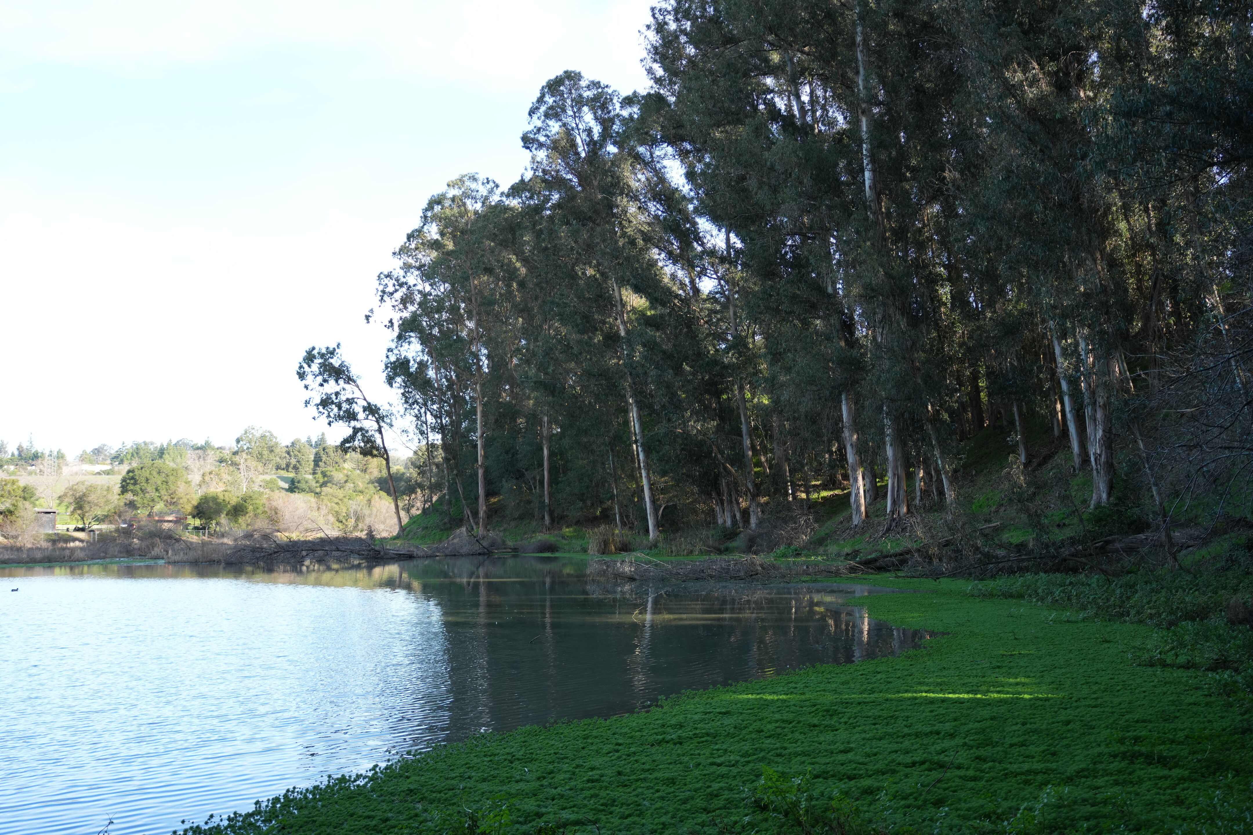 Don Castro Regional Recreation Area