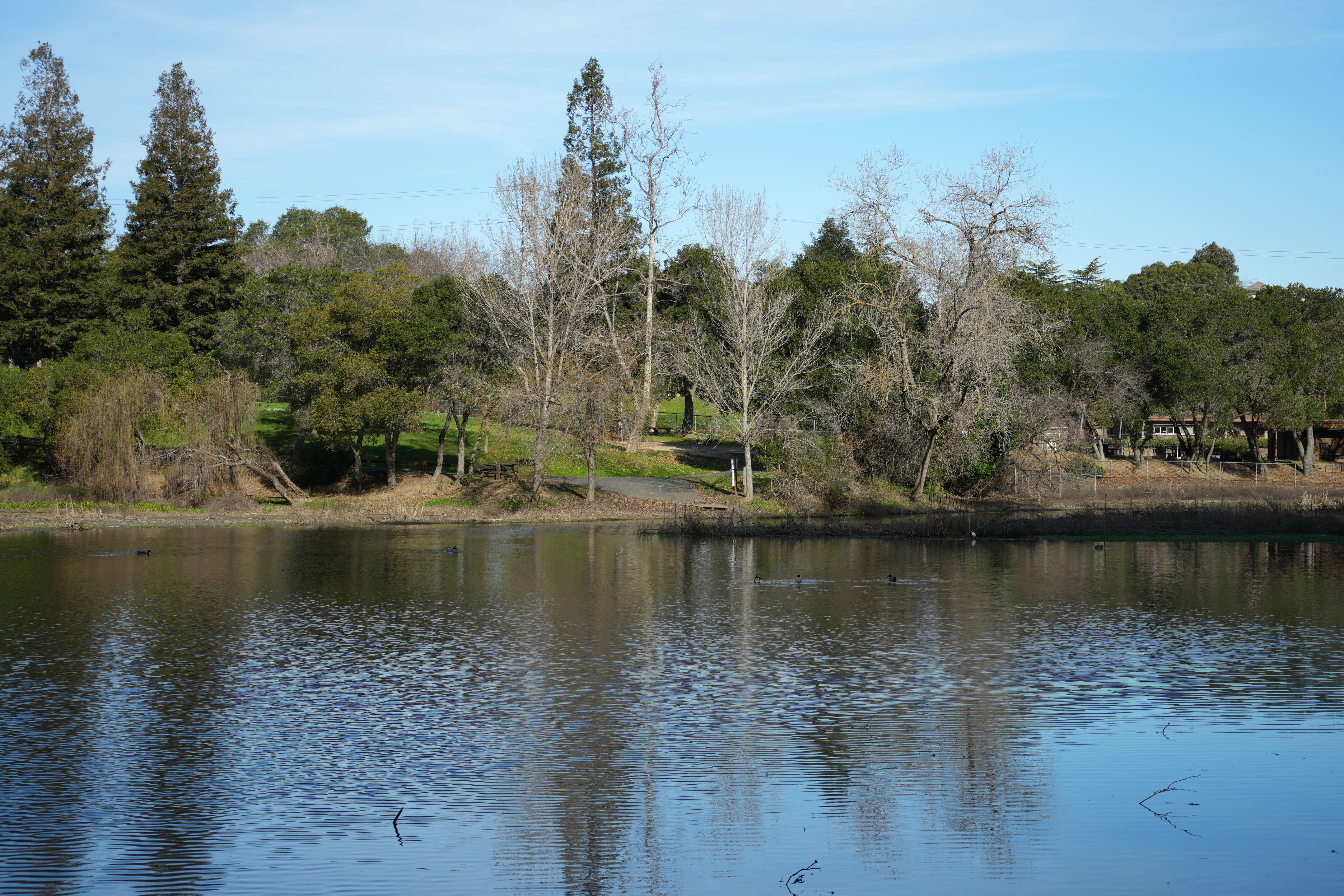 Don Castro Regional Recreation Area