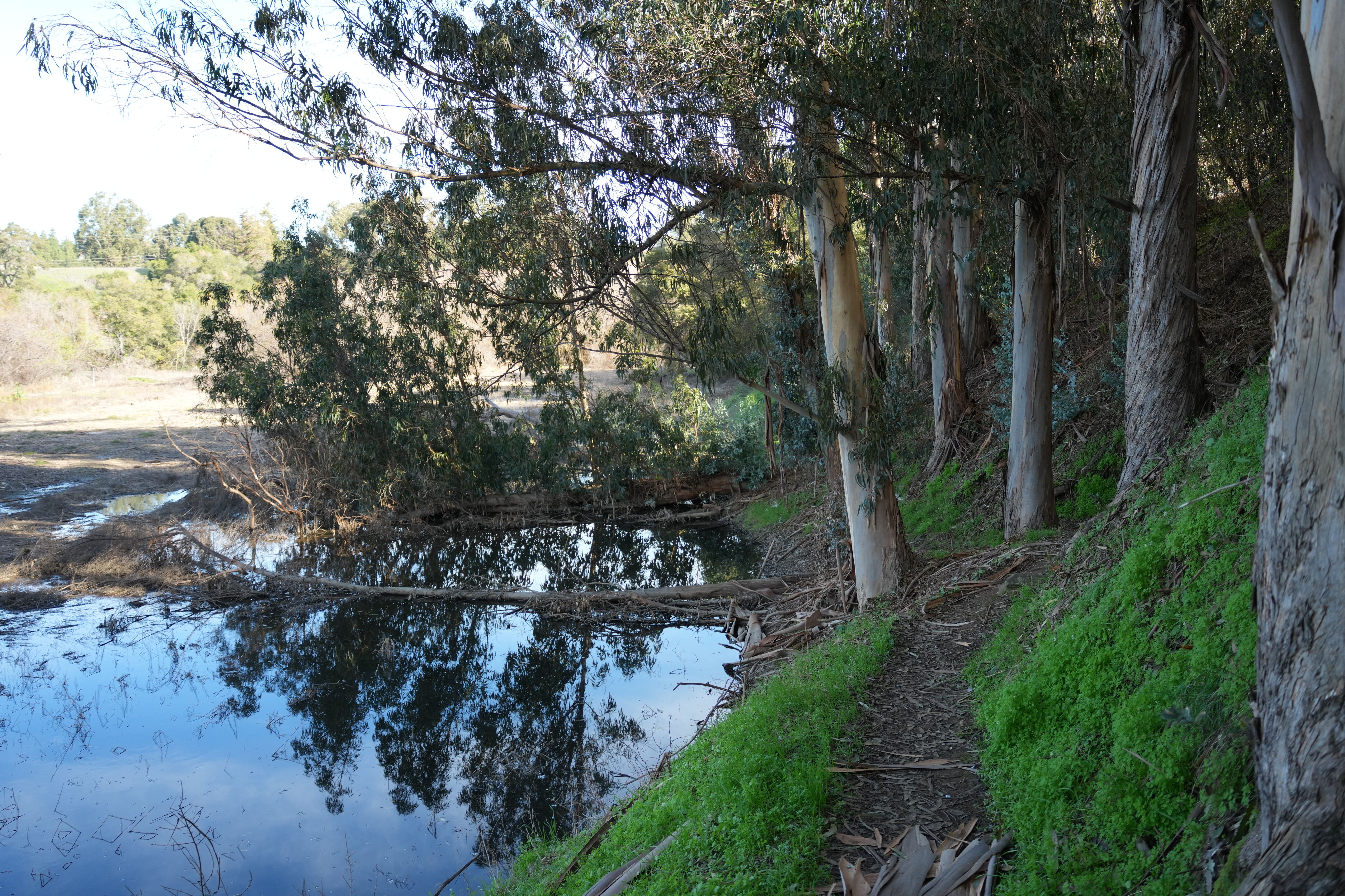 Don Castro Regional Recreation Area