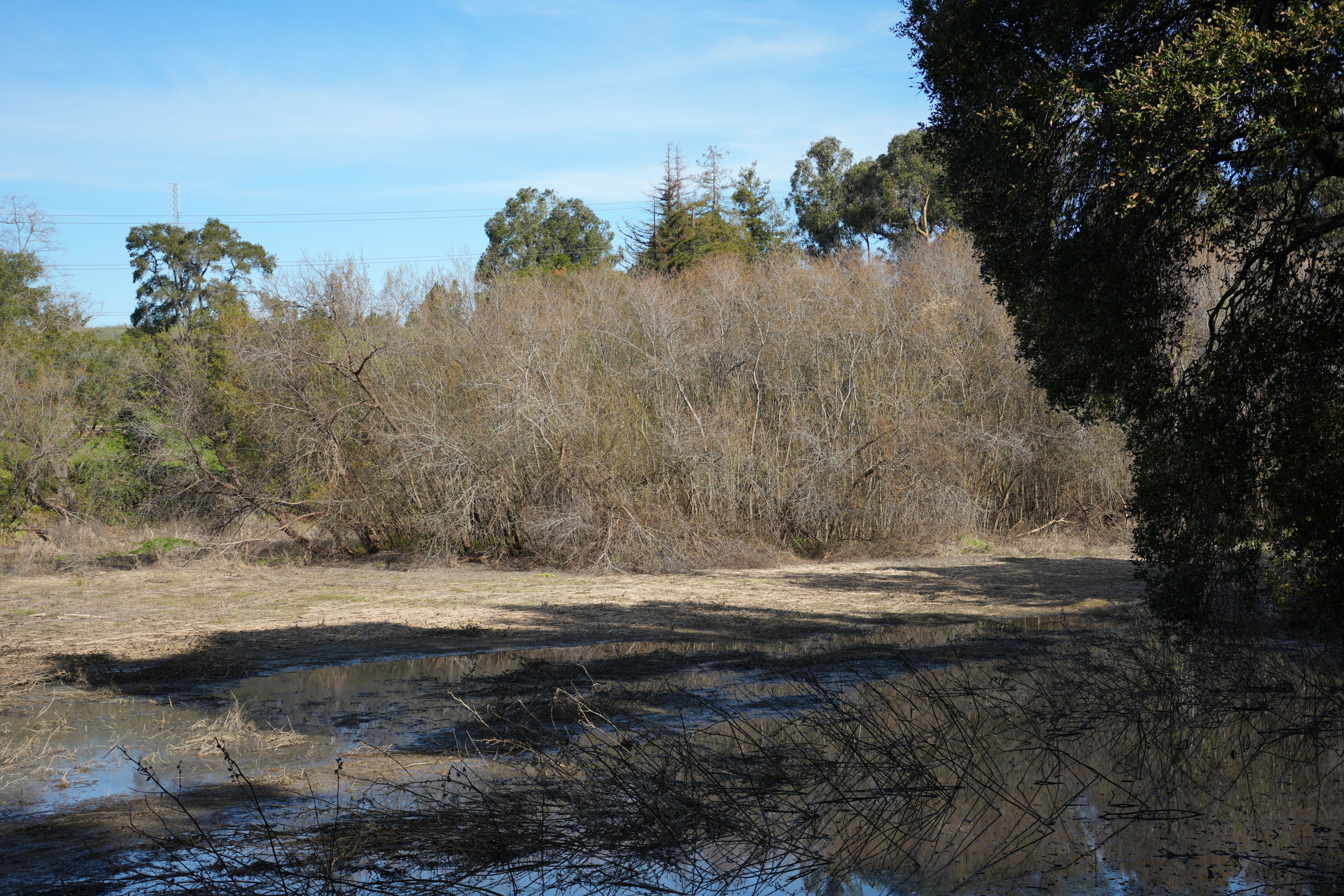 Don Castro Regional Recreation Area