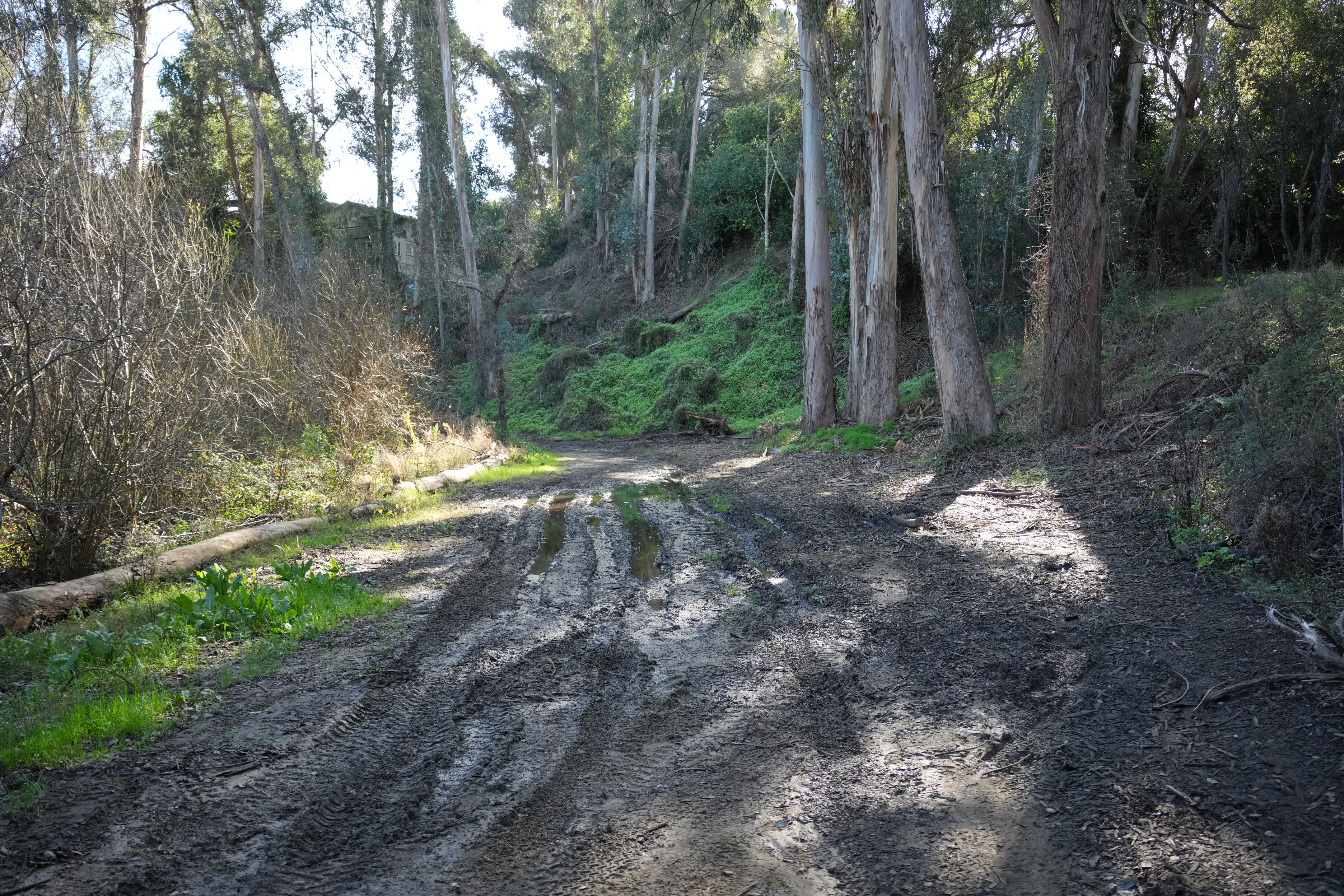 Don Castro Regional Recreation Area