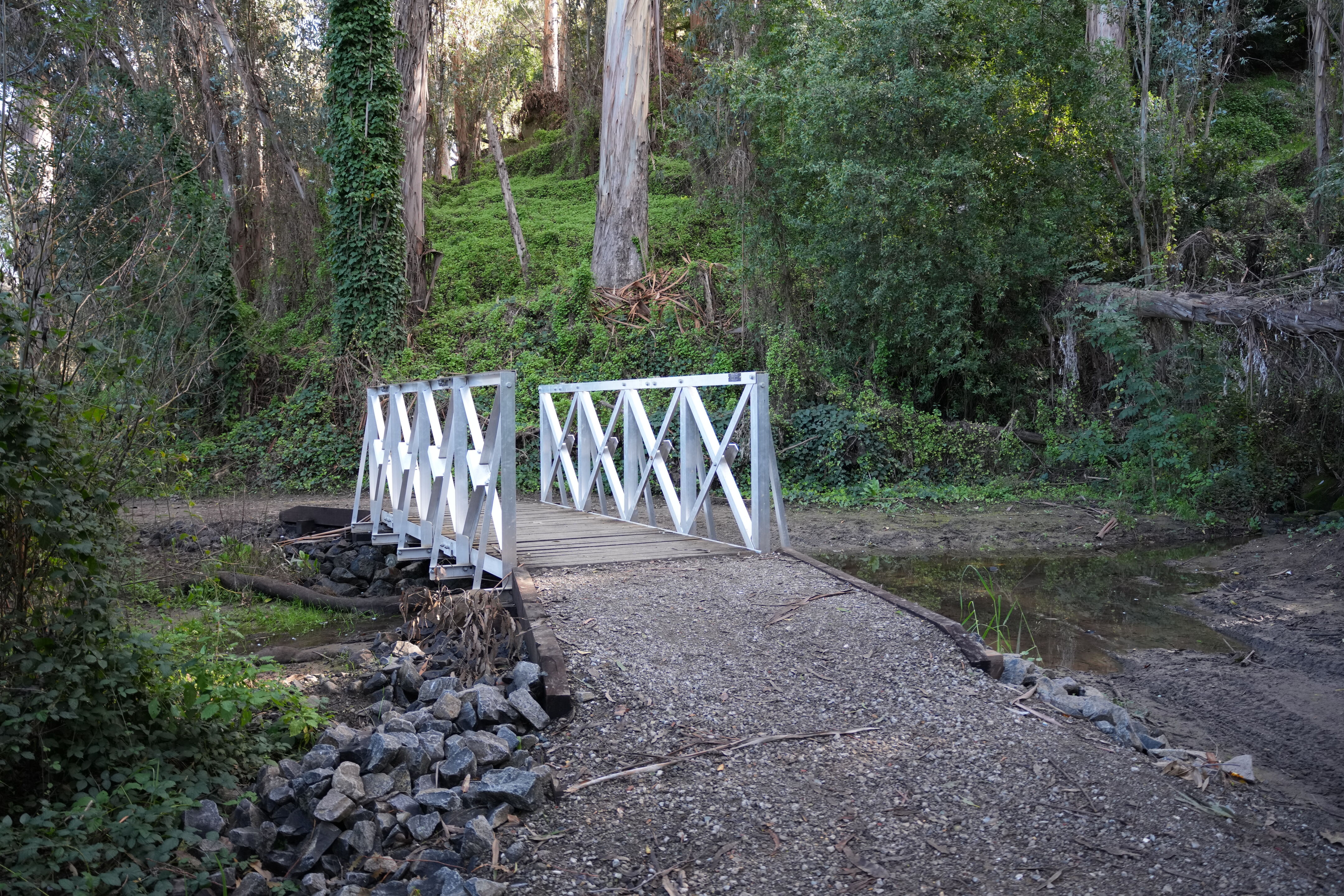 Don Castro Regional Recreation Area