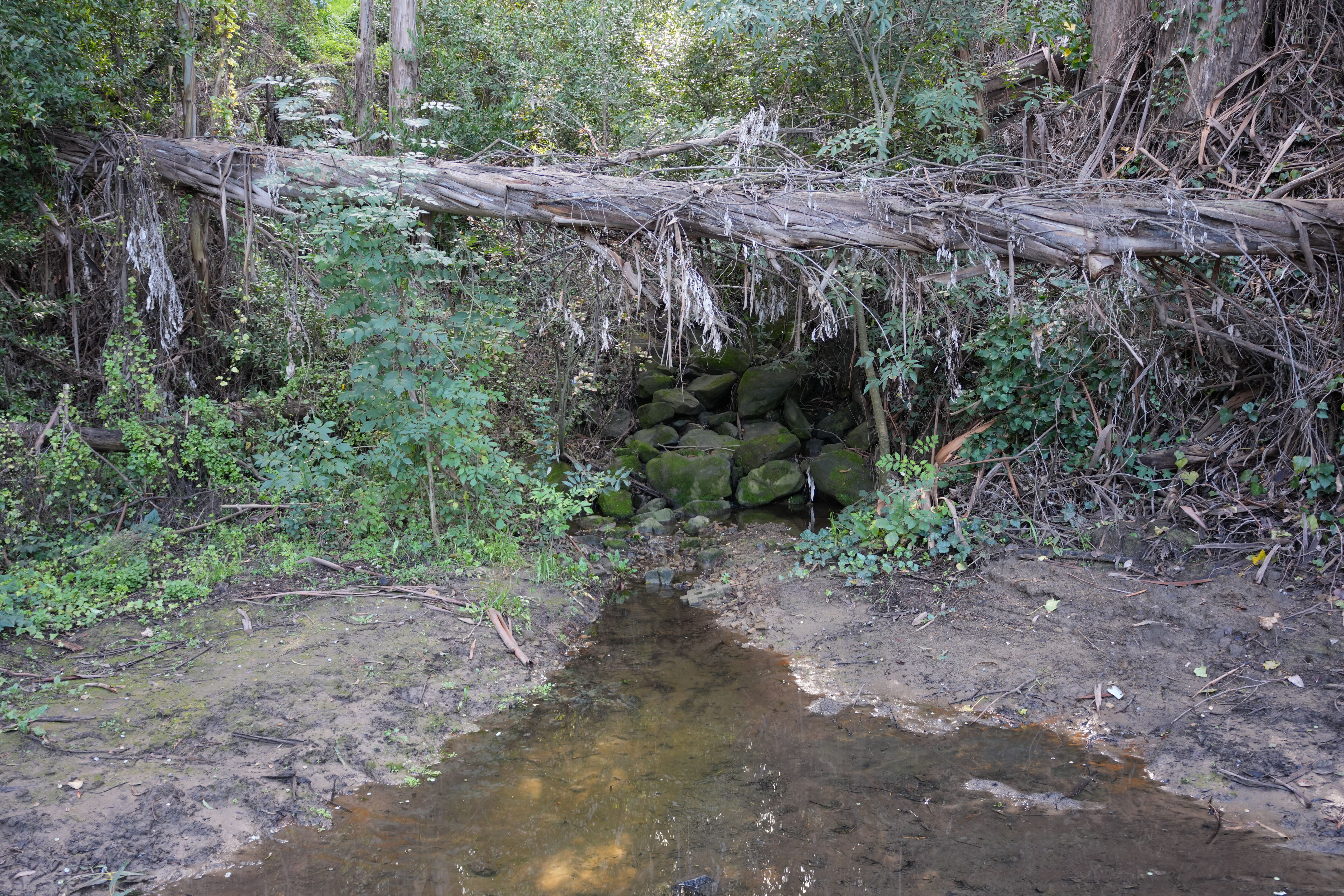 Don Castro Regional Recreation Area