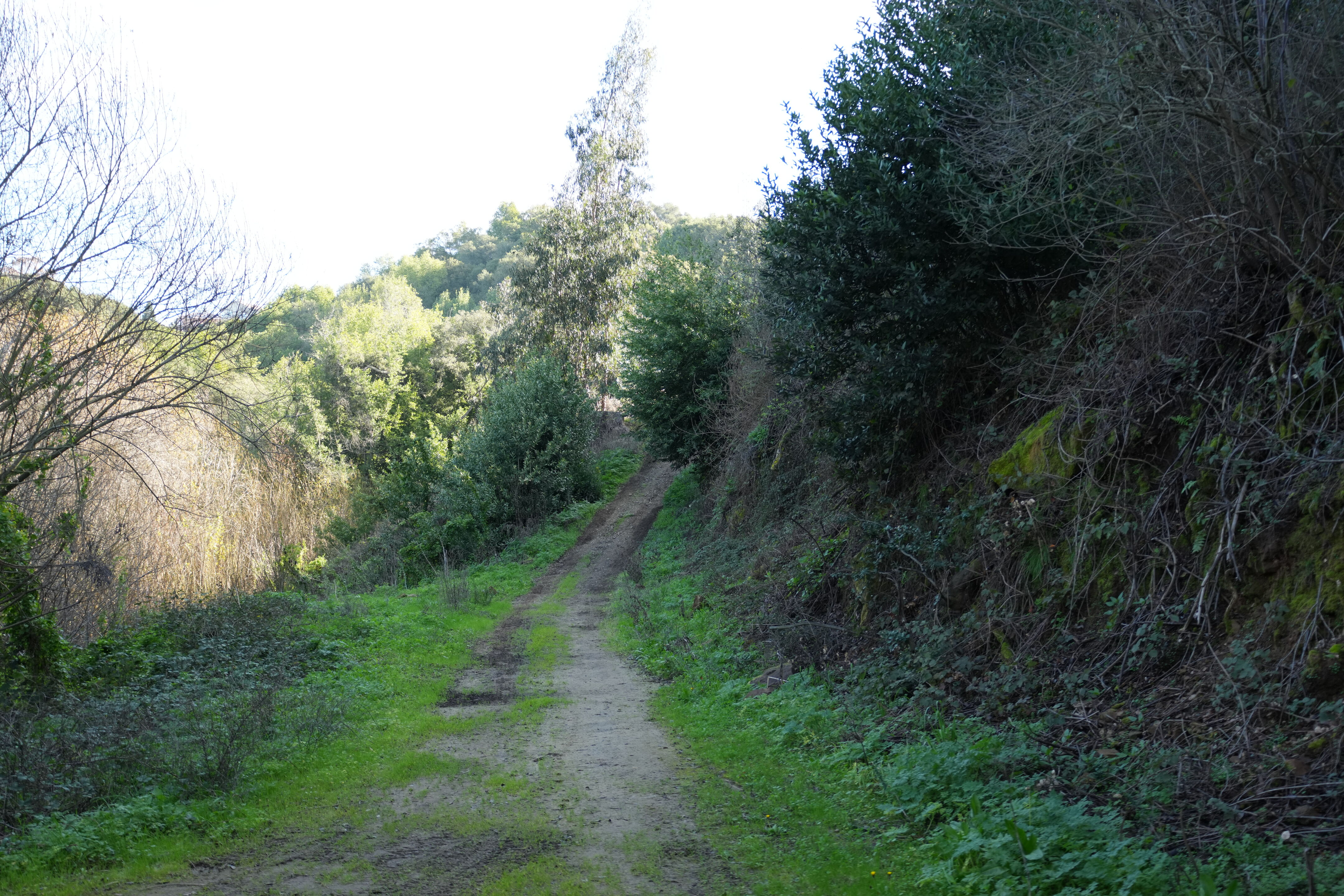 Don Castro Regional Recreation Area