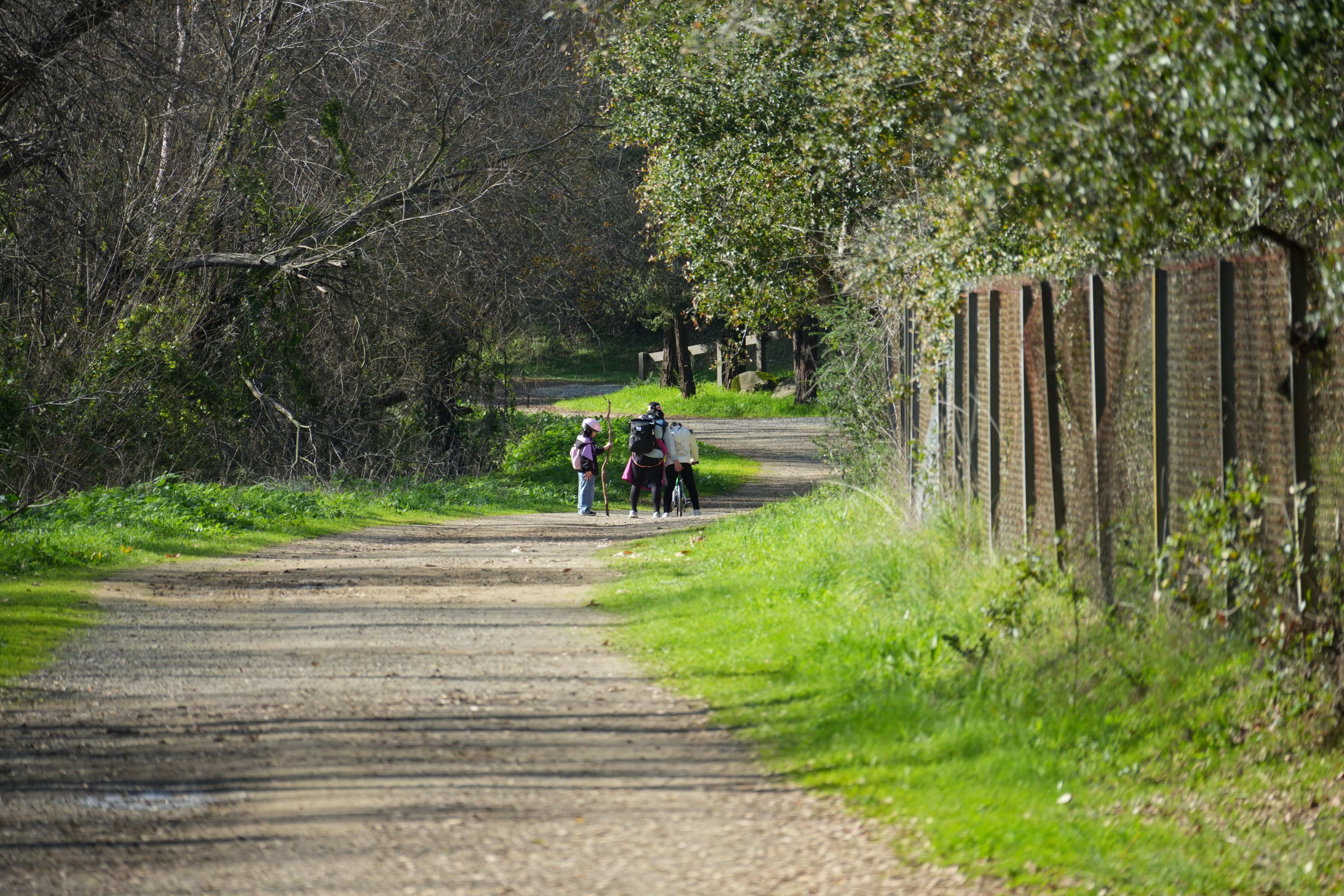 Don Castro Regional Recreation Area