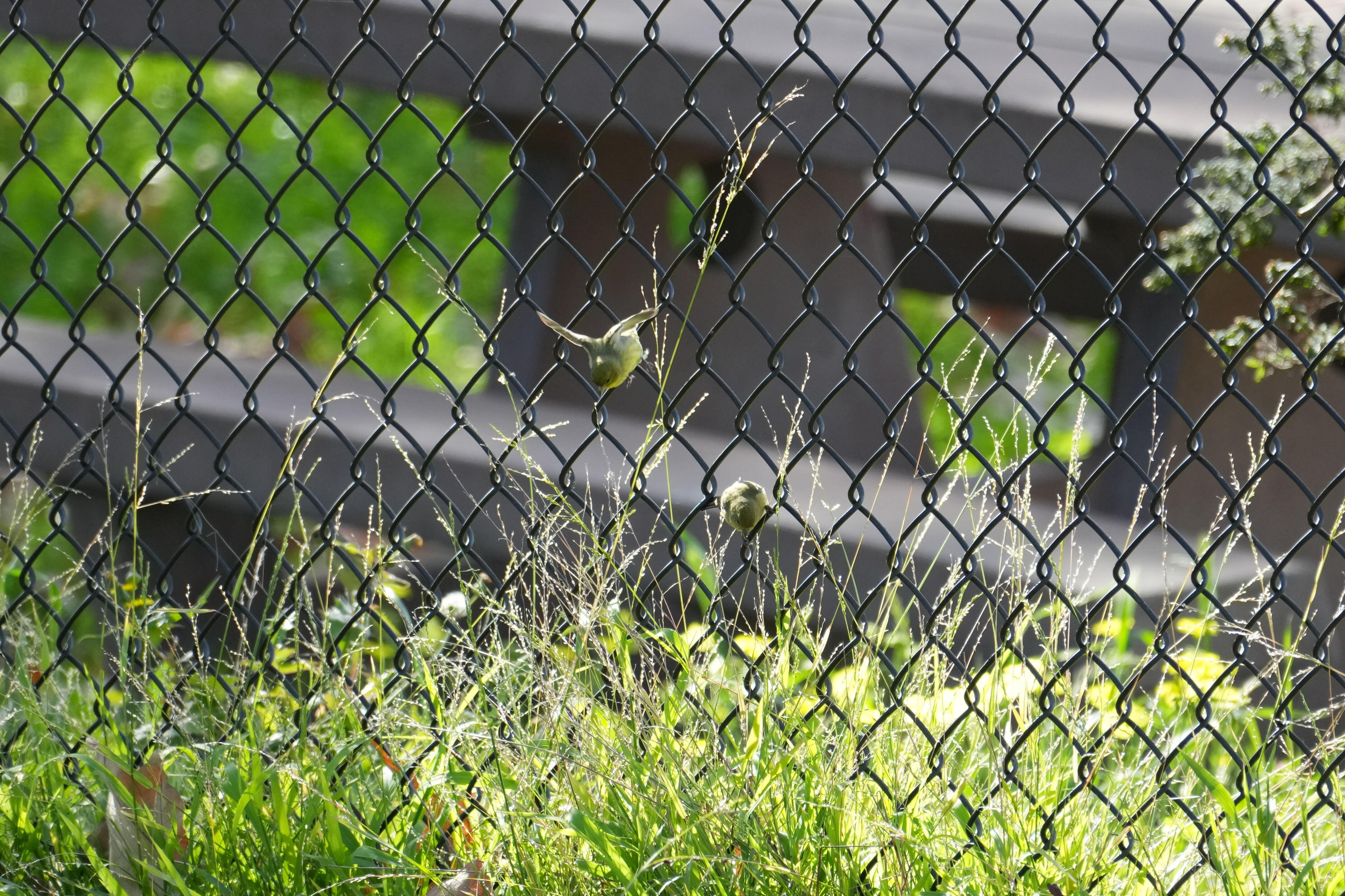 Don Castro Regional Recreation Area