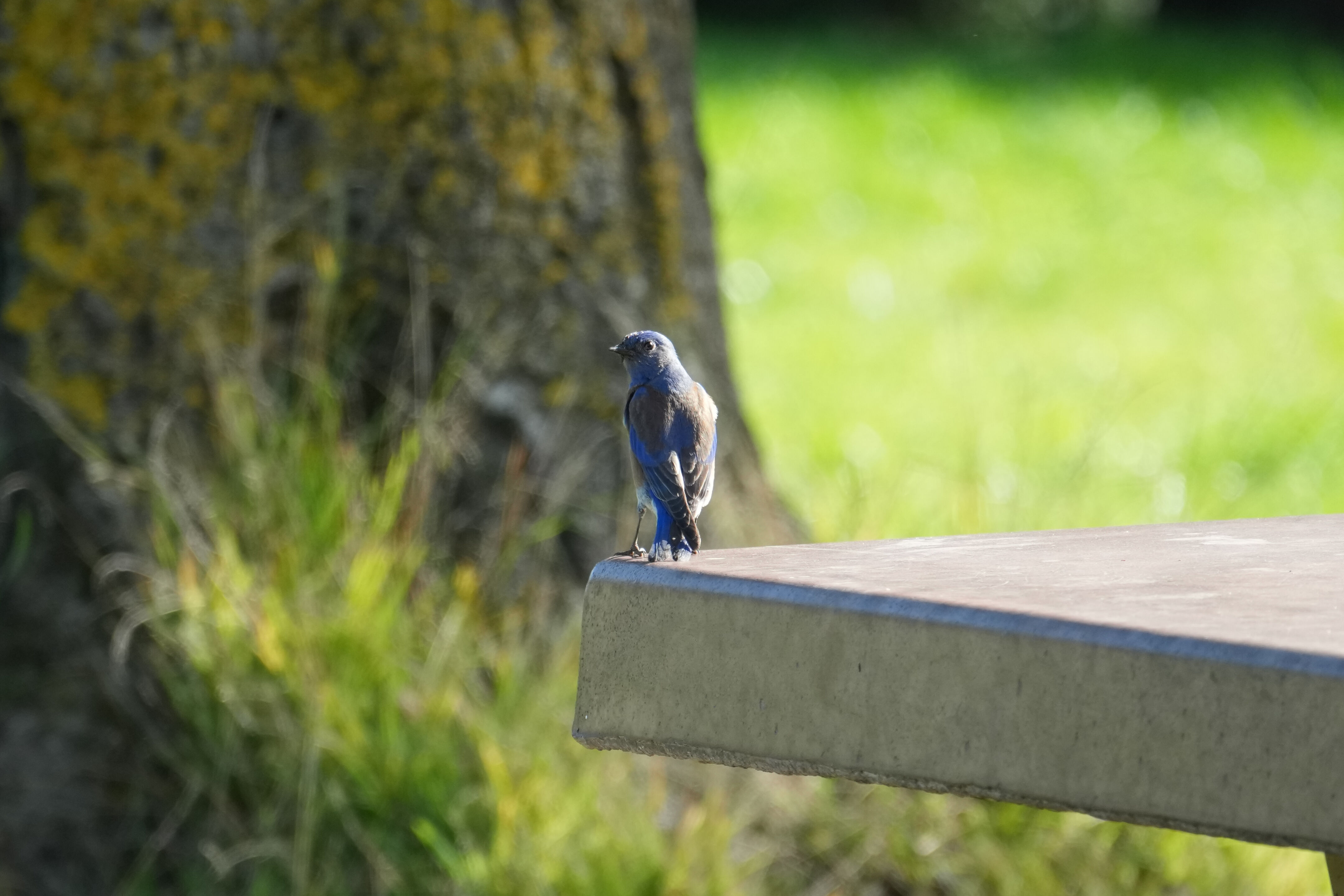 Don Castro Regional Recreation Area