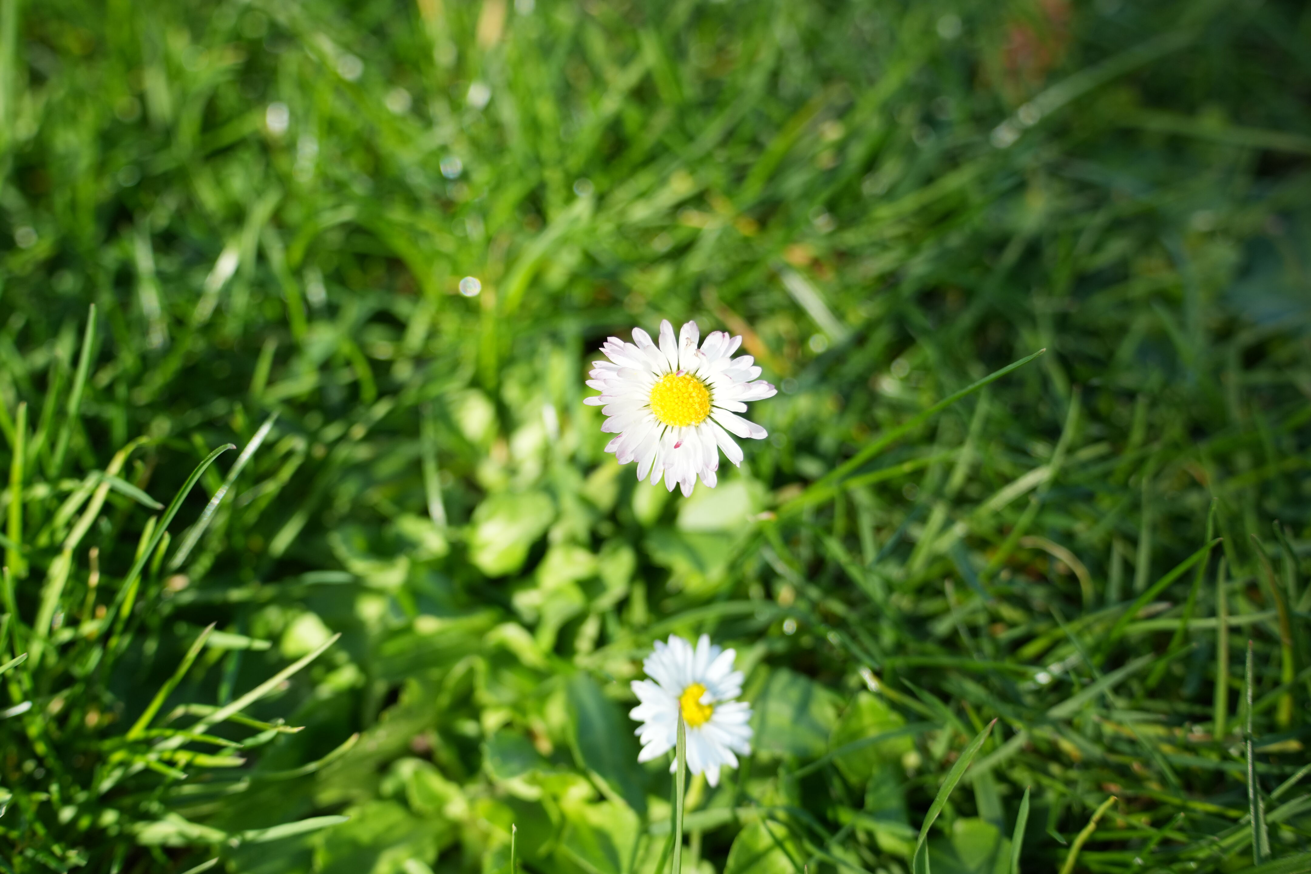 Don Castro Regional Recreation Area