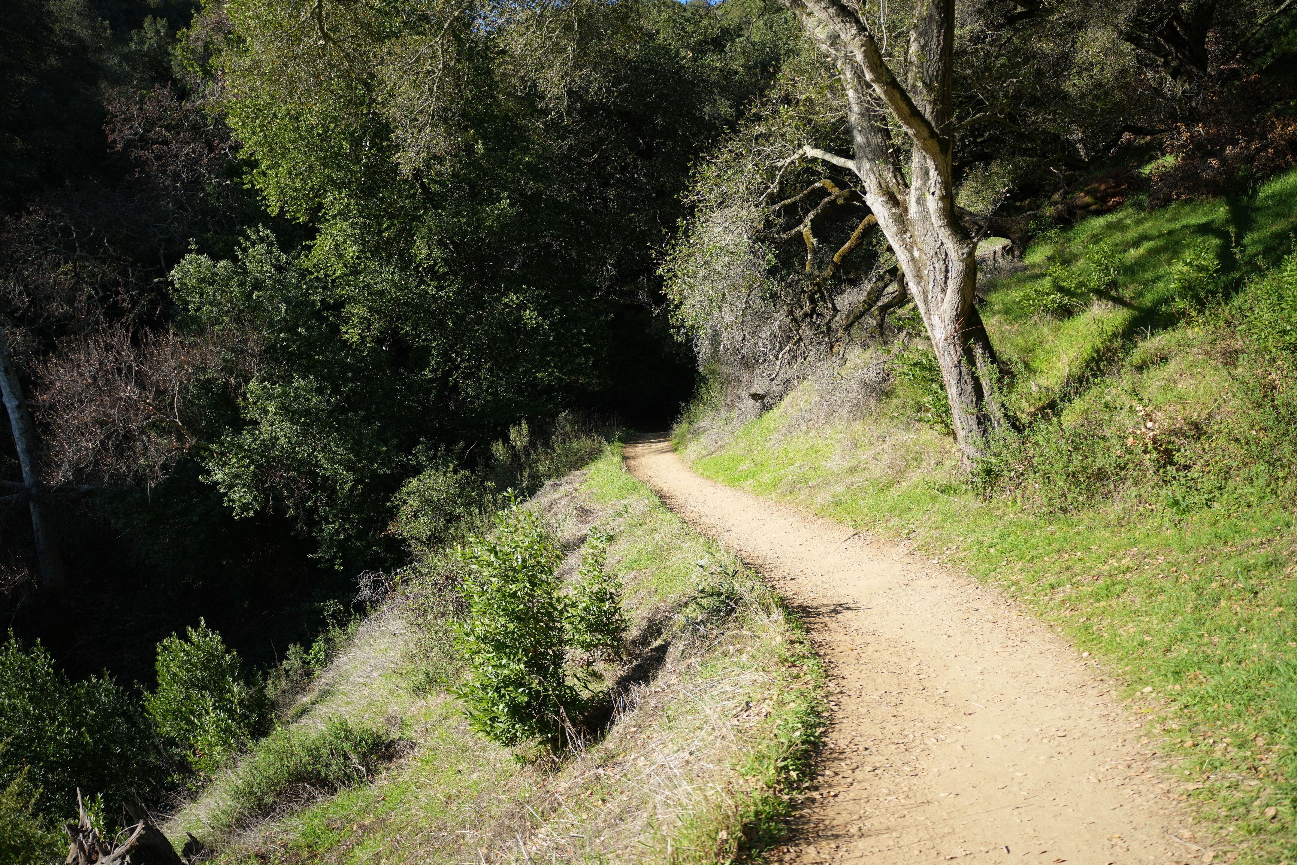 Pleasanton Ridge Regional Park