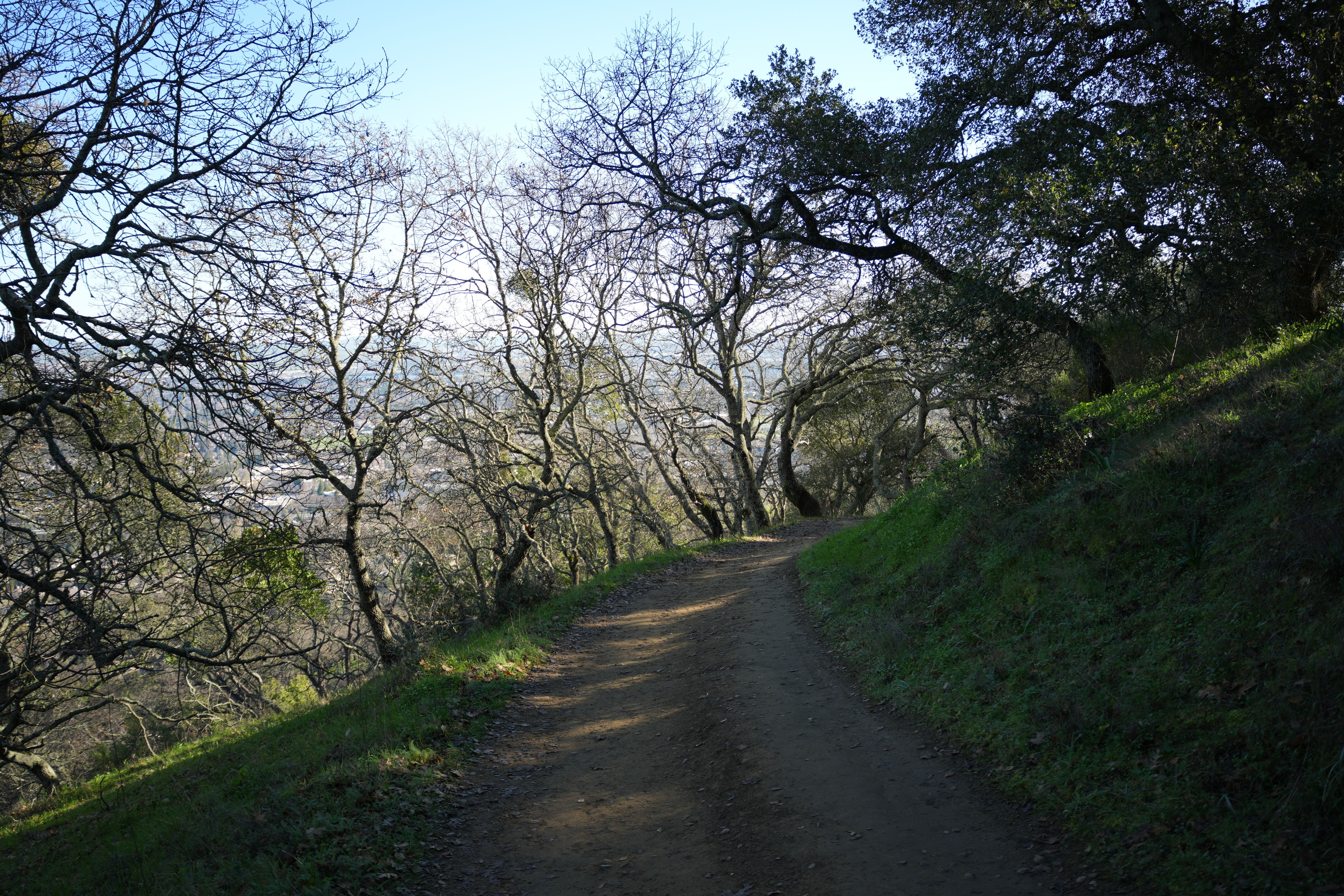 Pleasanton Ridge Regional Park