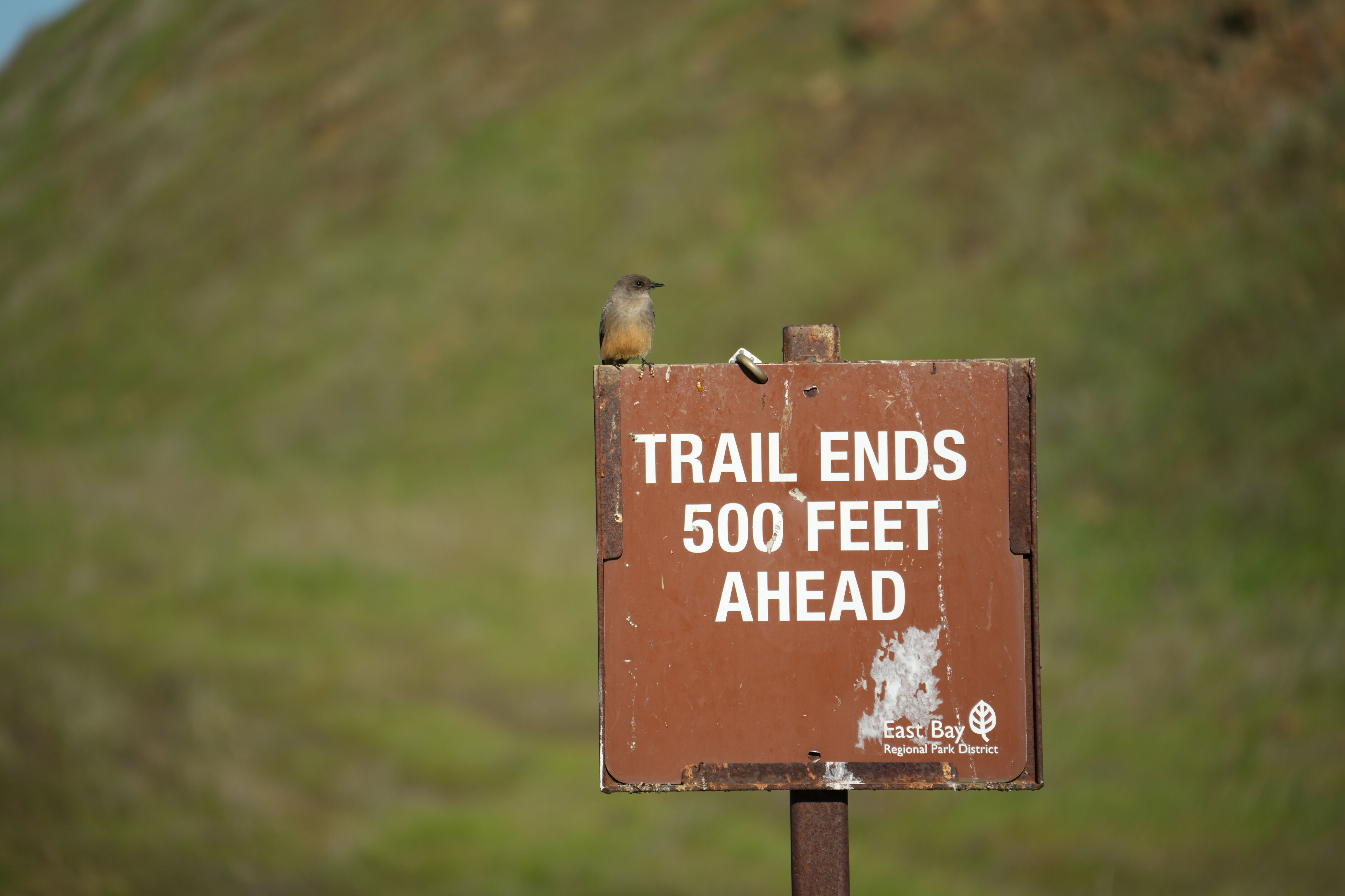 Pleasanton Ridge Regional Park