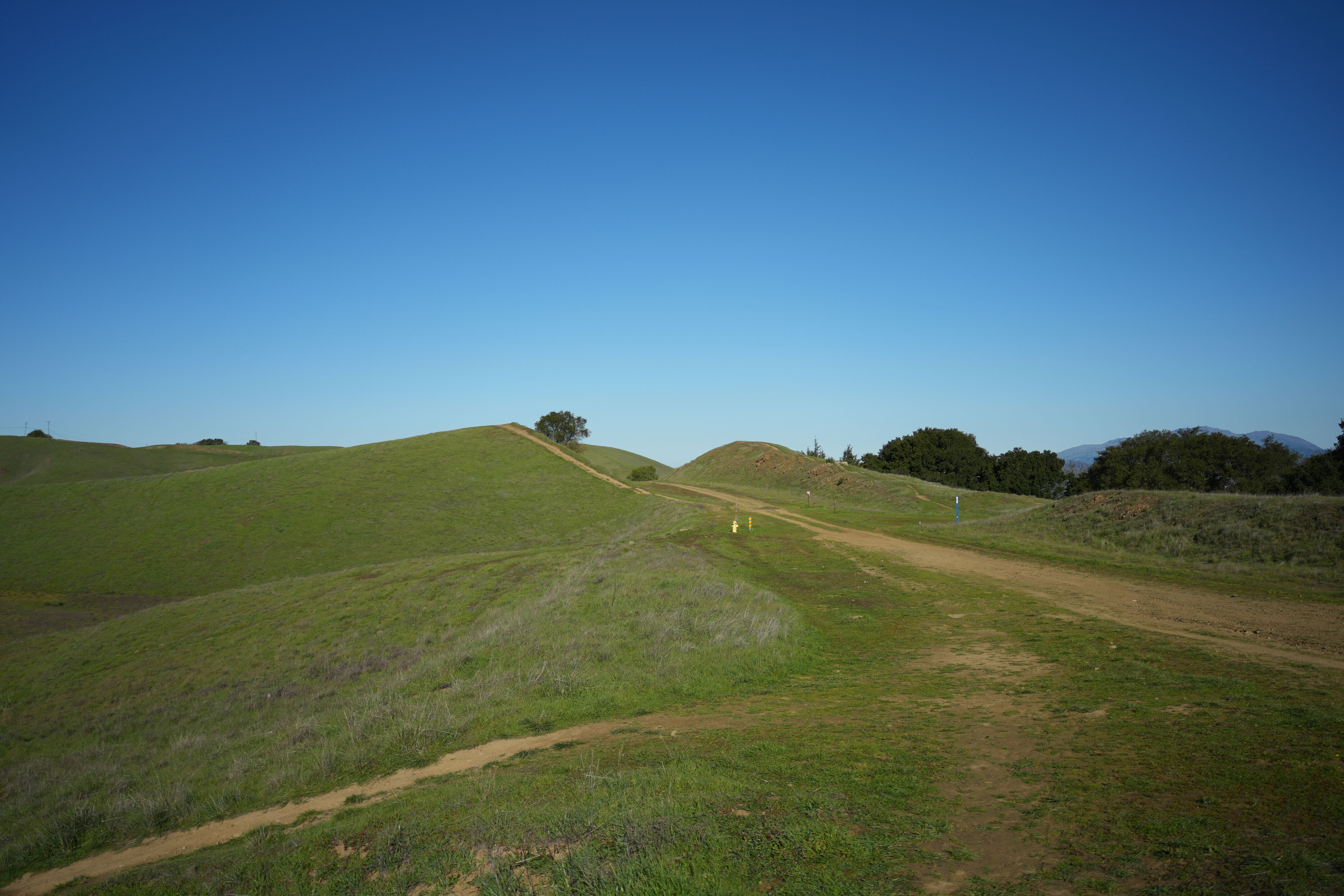 Pleasanton Ridge Regional Park
