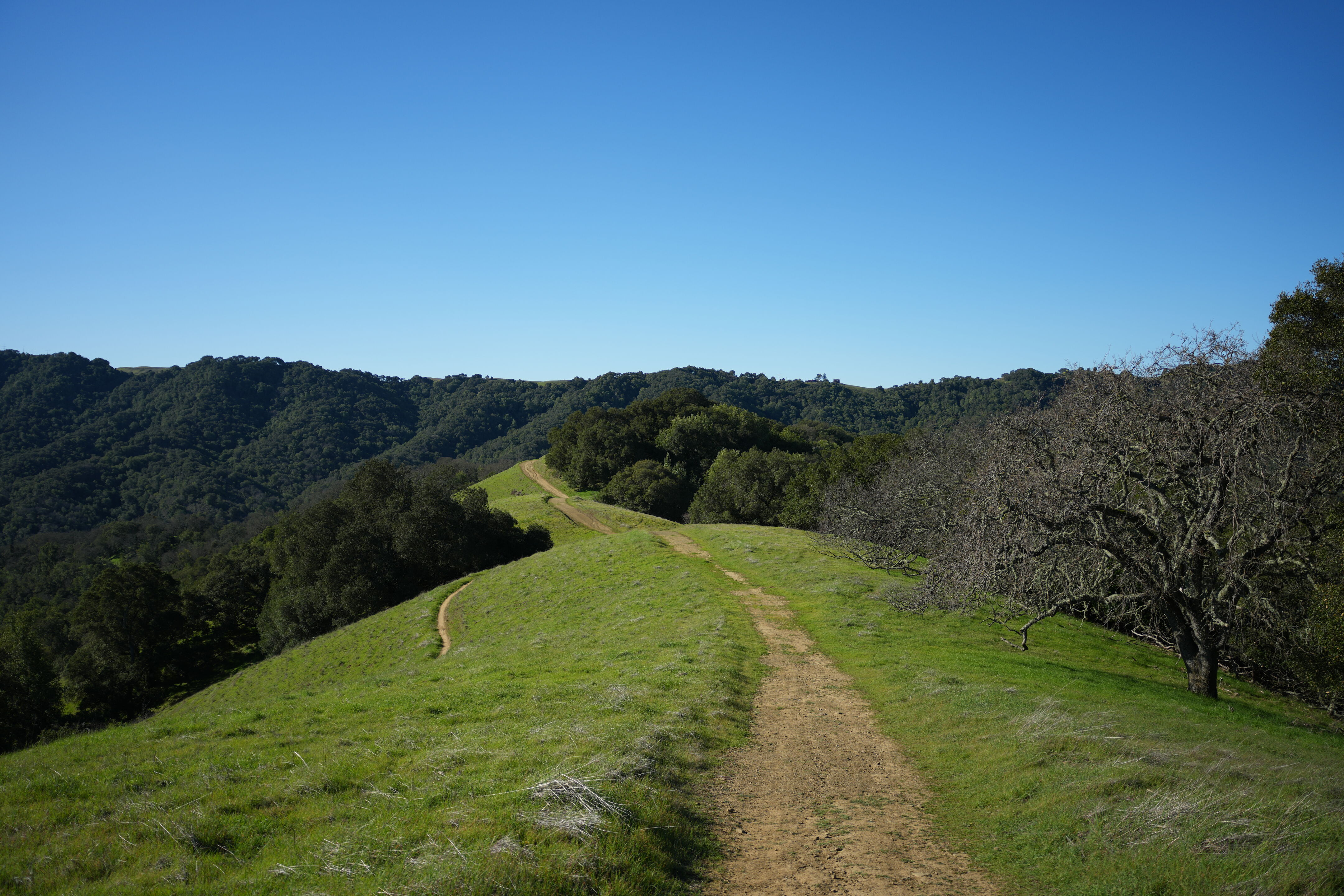 Pleasanton Ridge Regional Park
