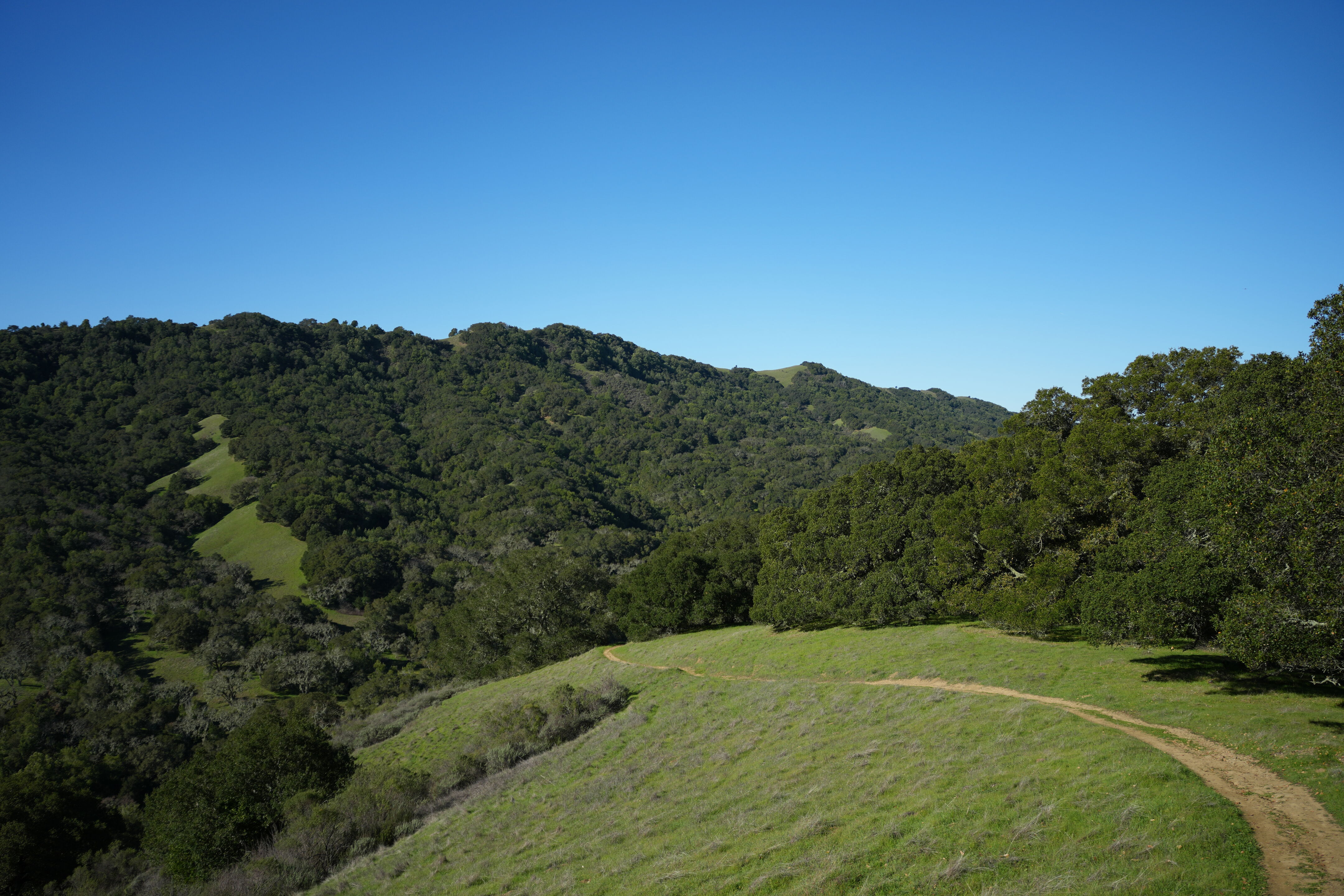 Pleasanton Ridge Regional Park