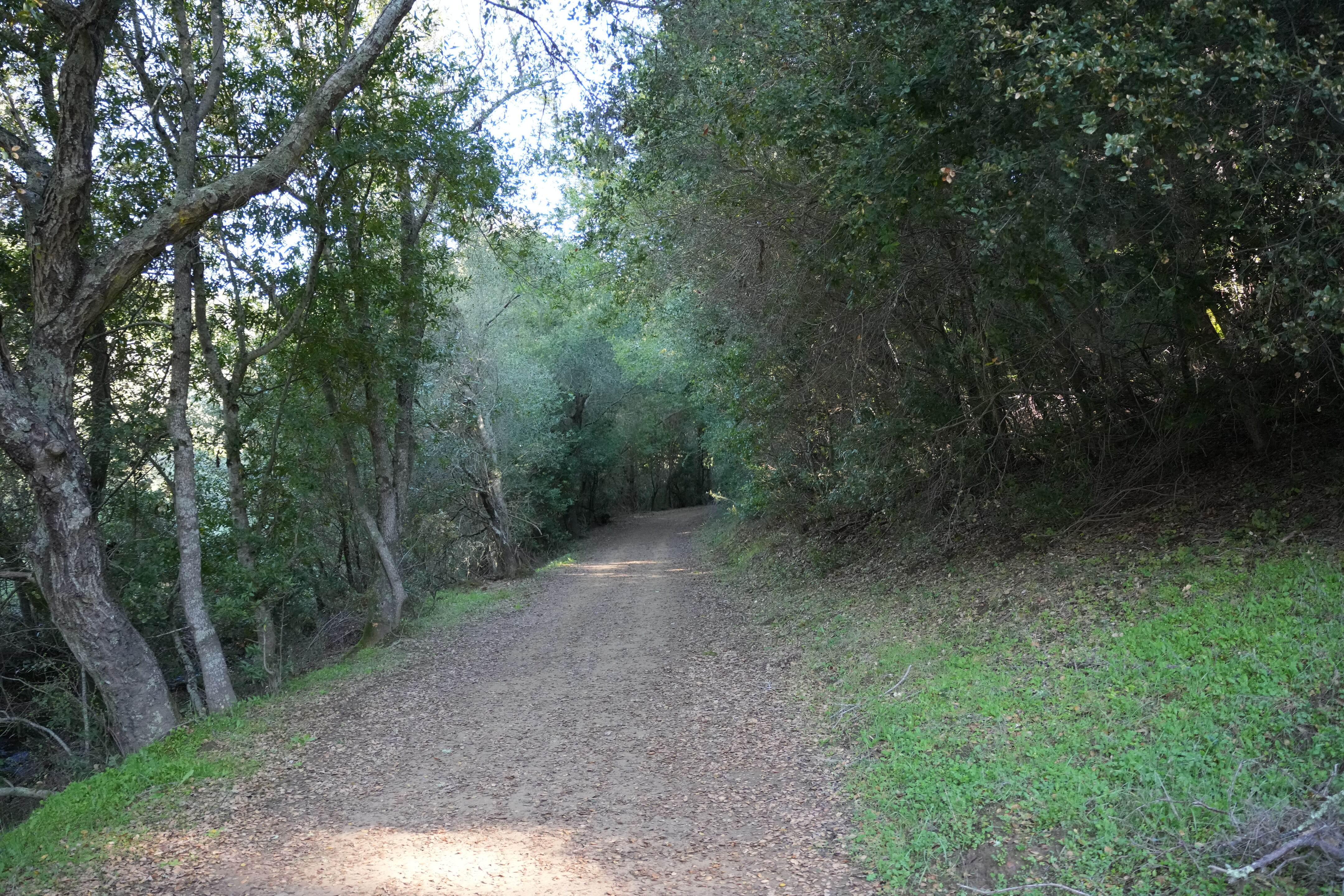 Pleasanton Ridge Regional Park