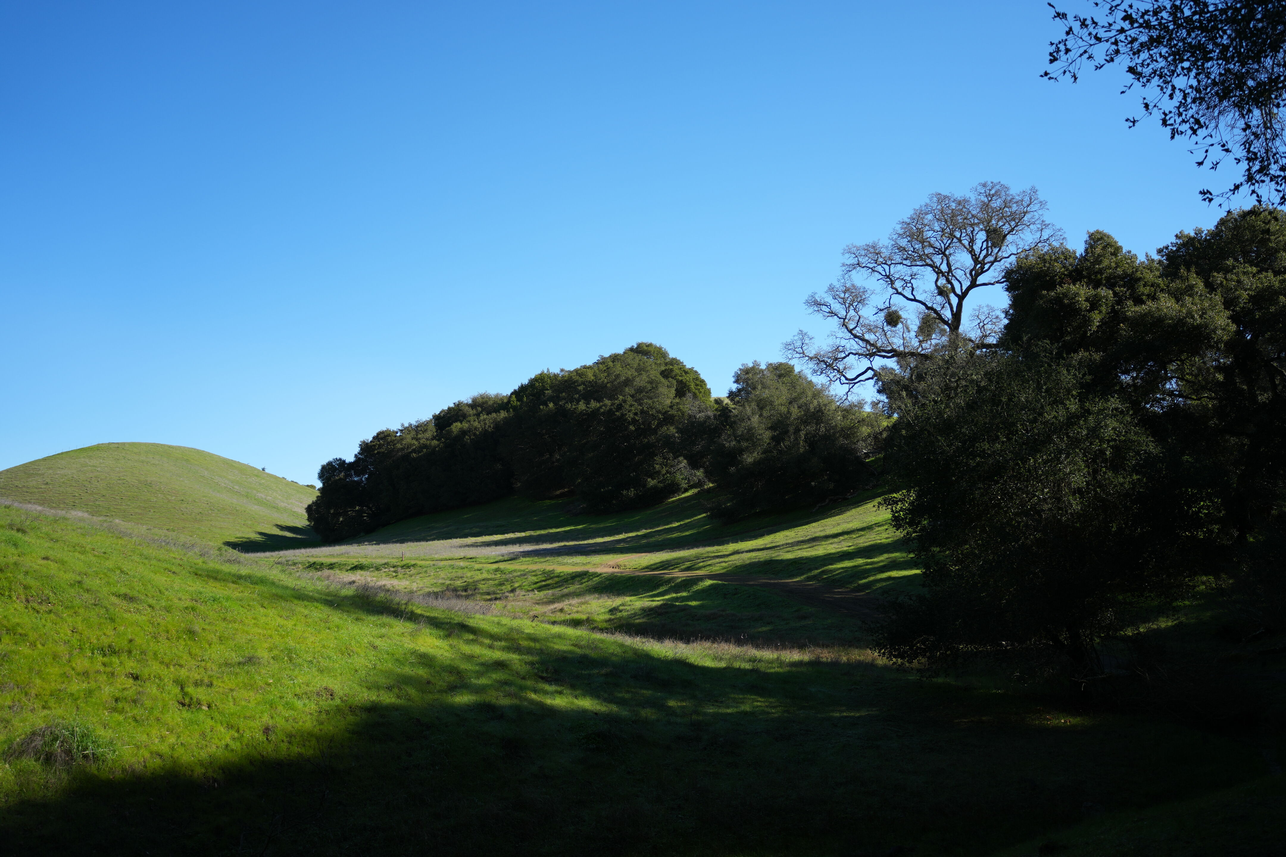 Pleasanton Ridge Regional Park