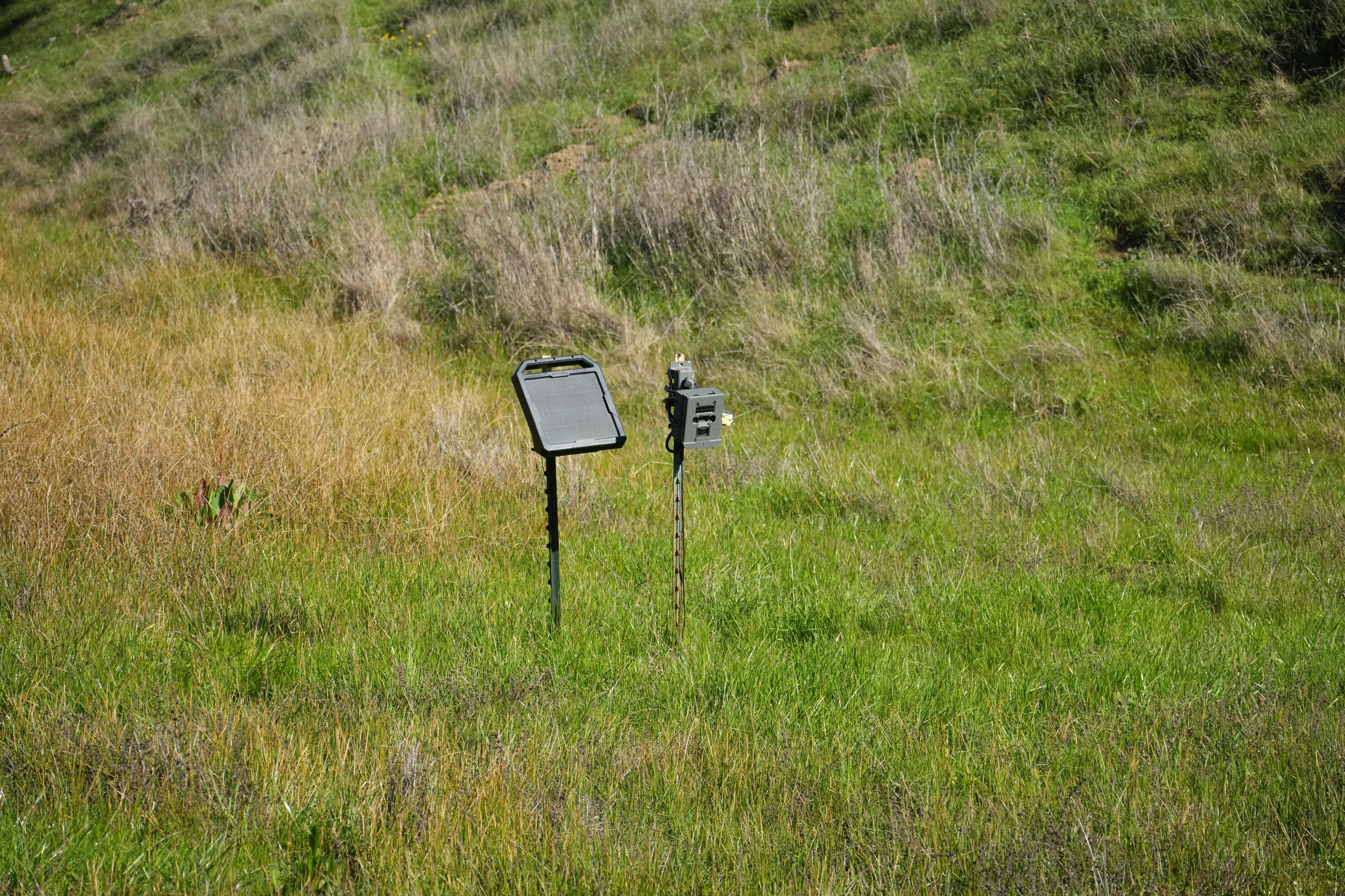 Pleasanton Ridge Regional Park