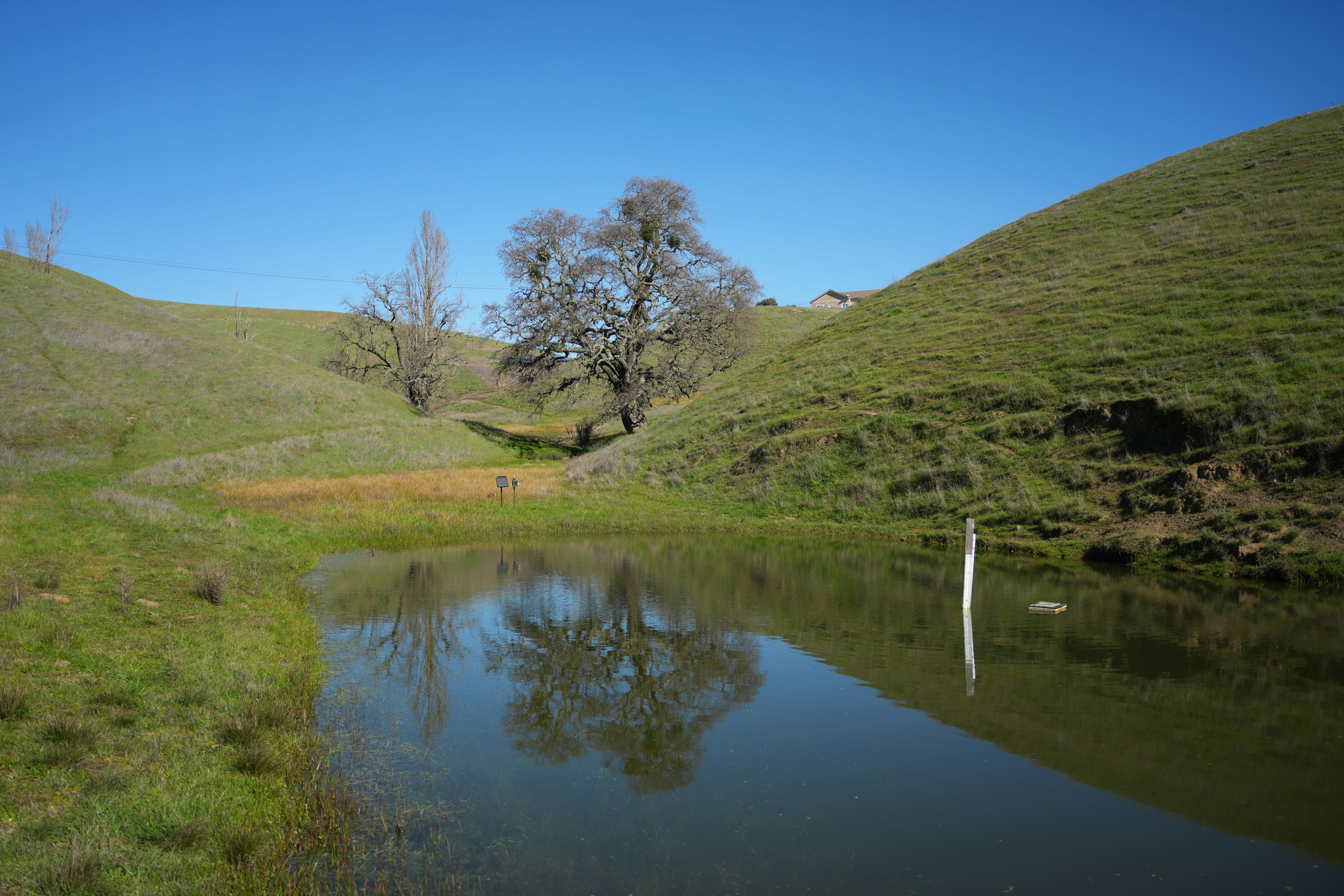 Pleasanton Ridge Regional Park