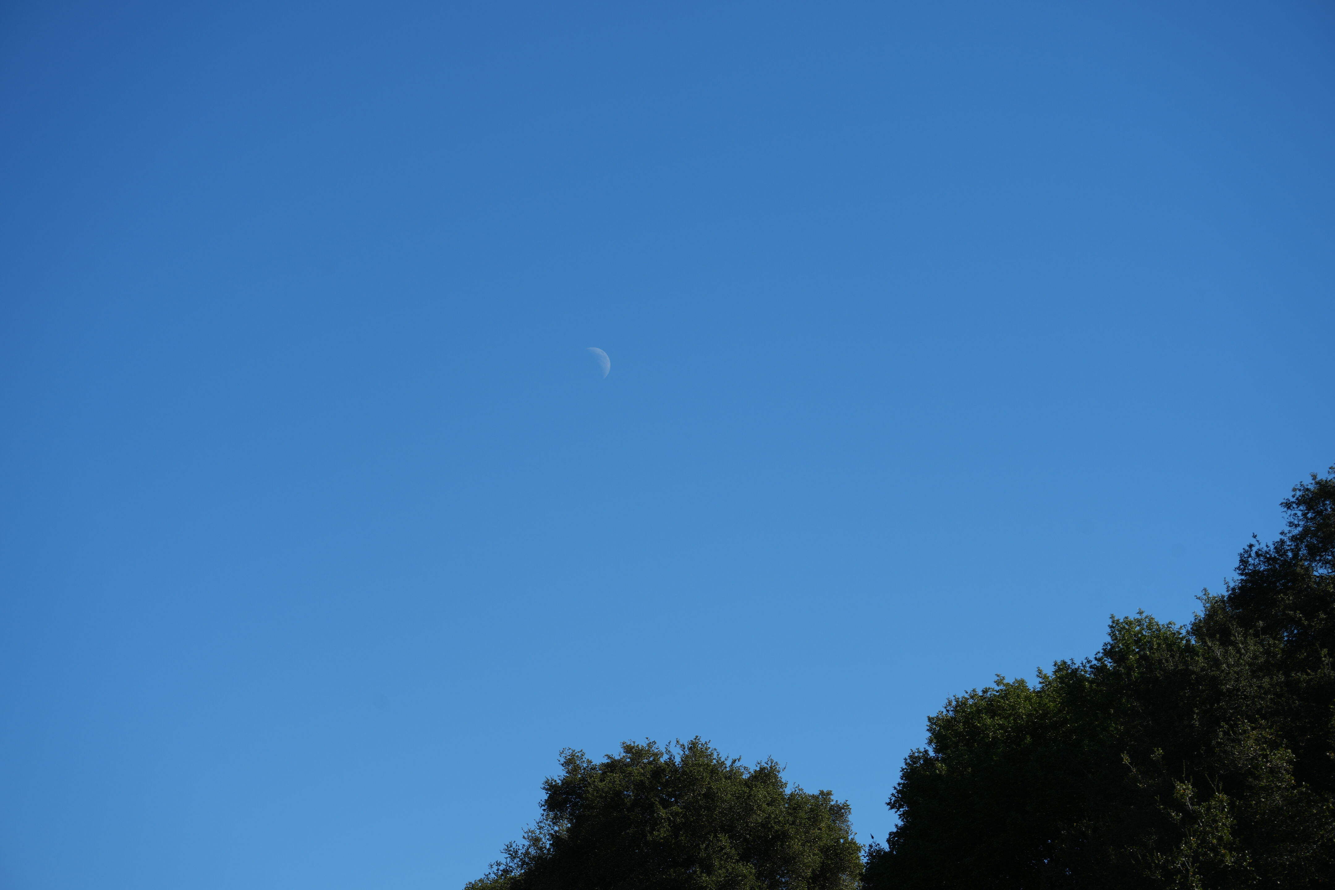 Pleasanton Ridge Regional Park