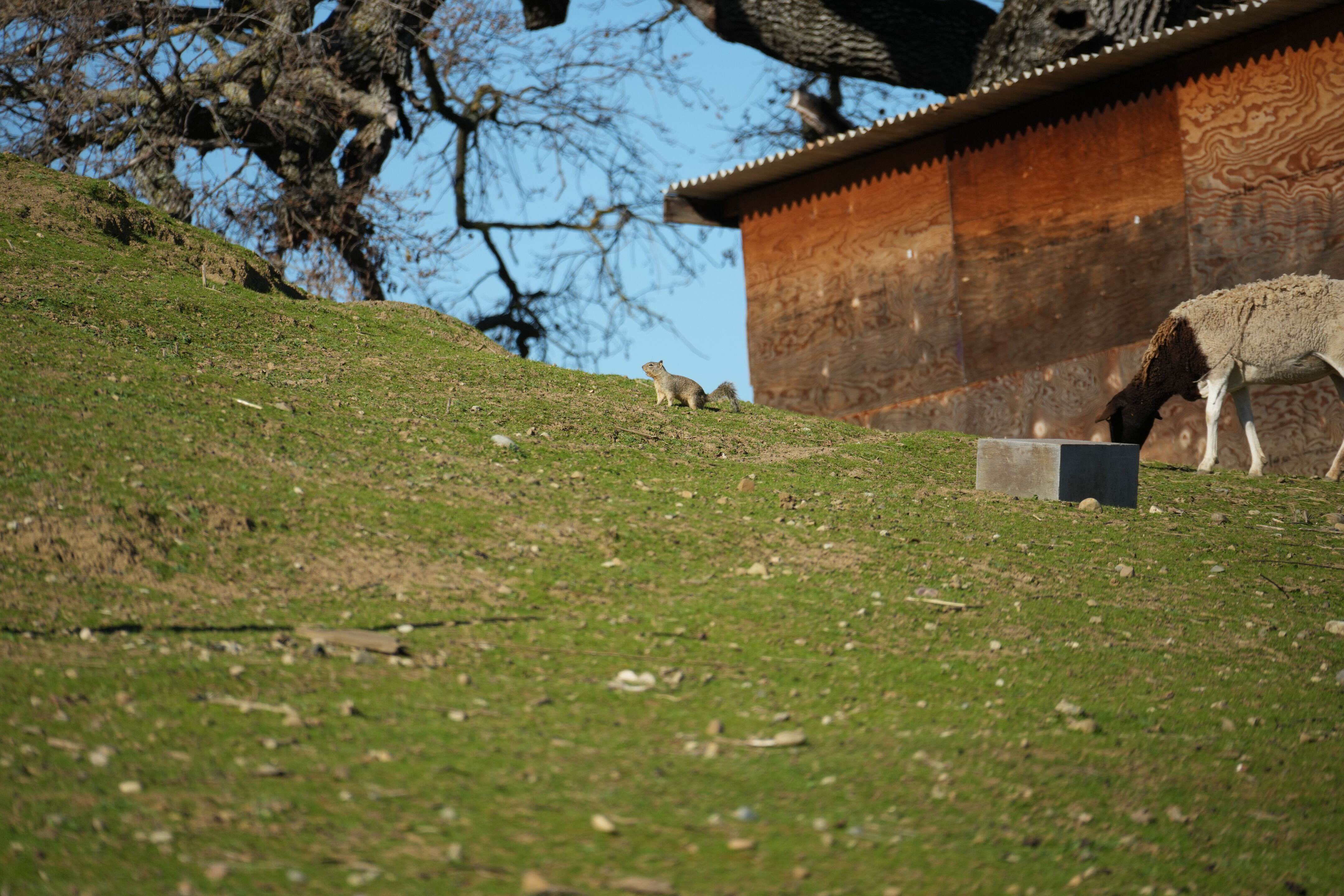 Pleasanton Ridge Regional Park