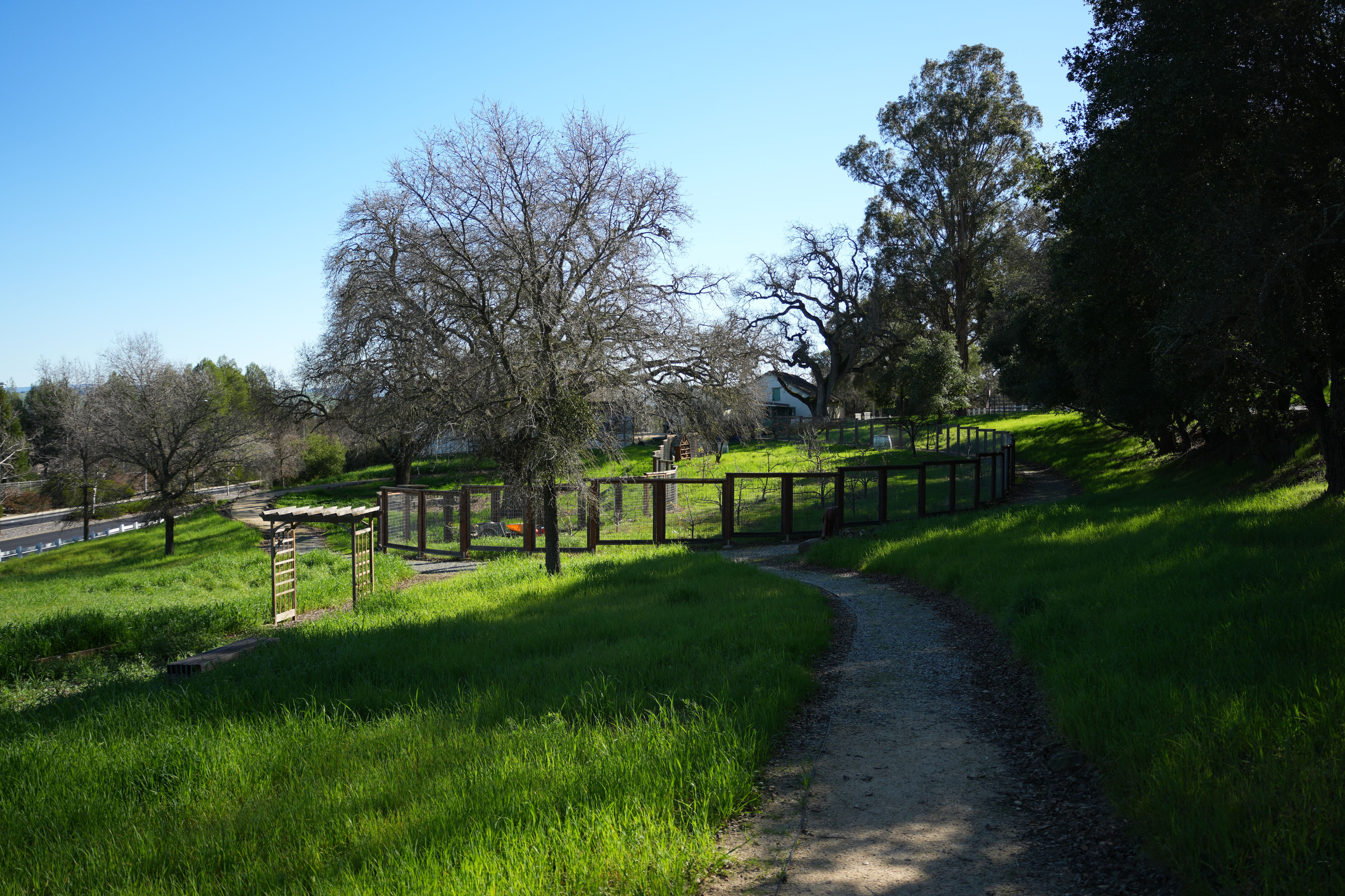 Pleasanton Ridge Regional Park