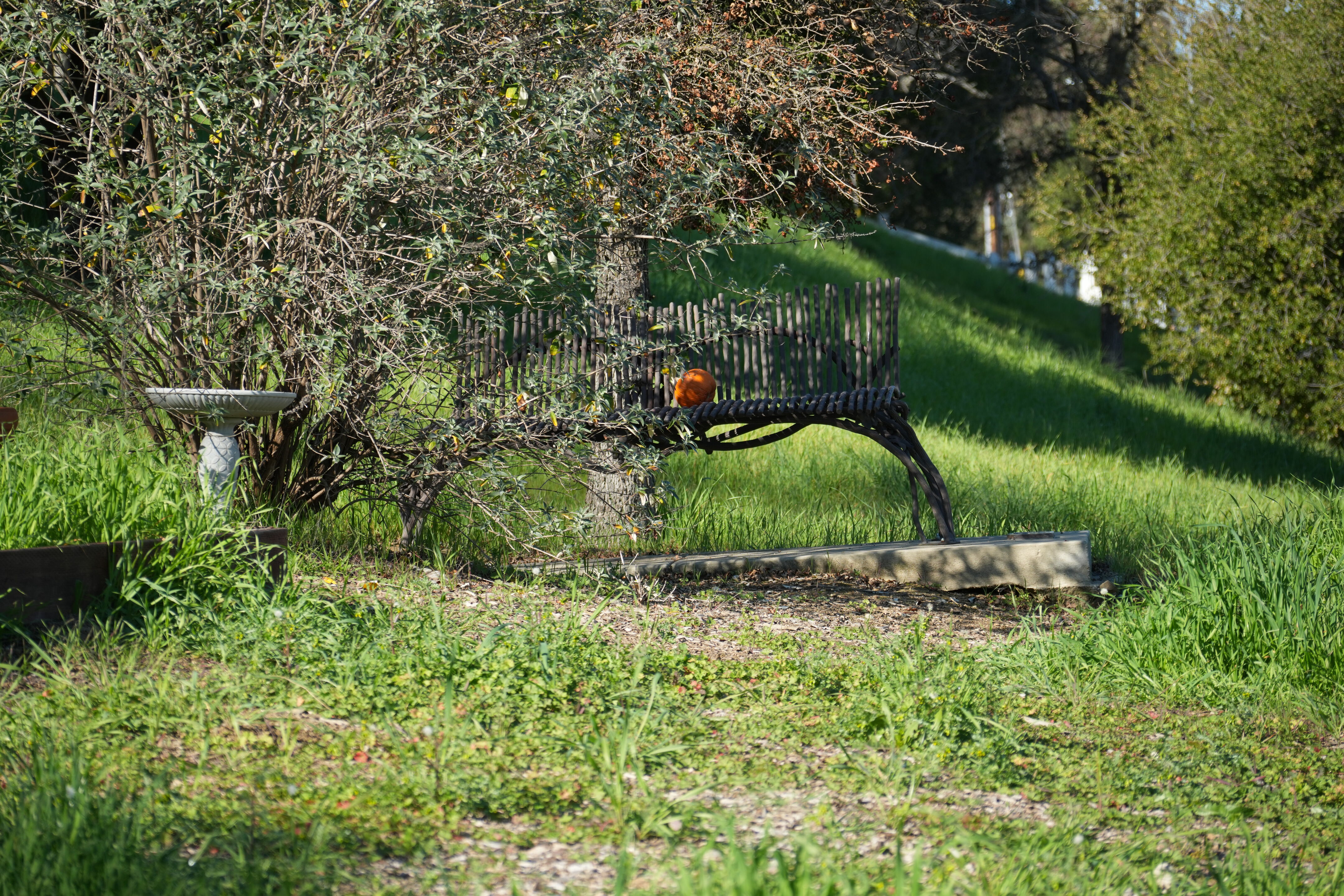 Pleasanton Ridge Regional Park