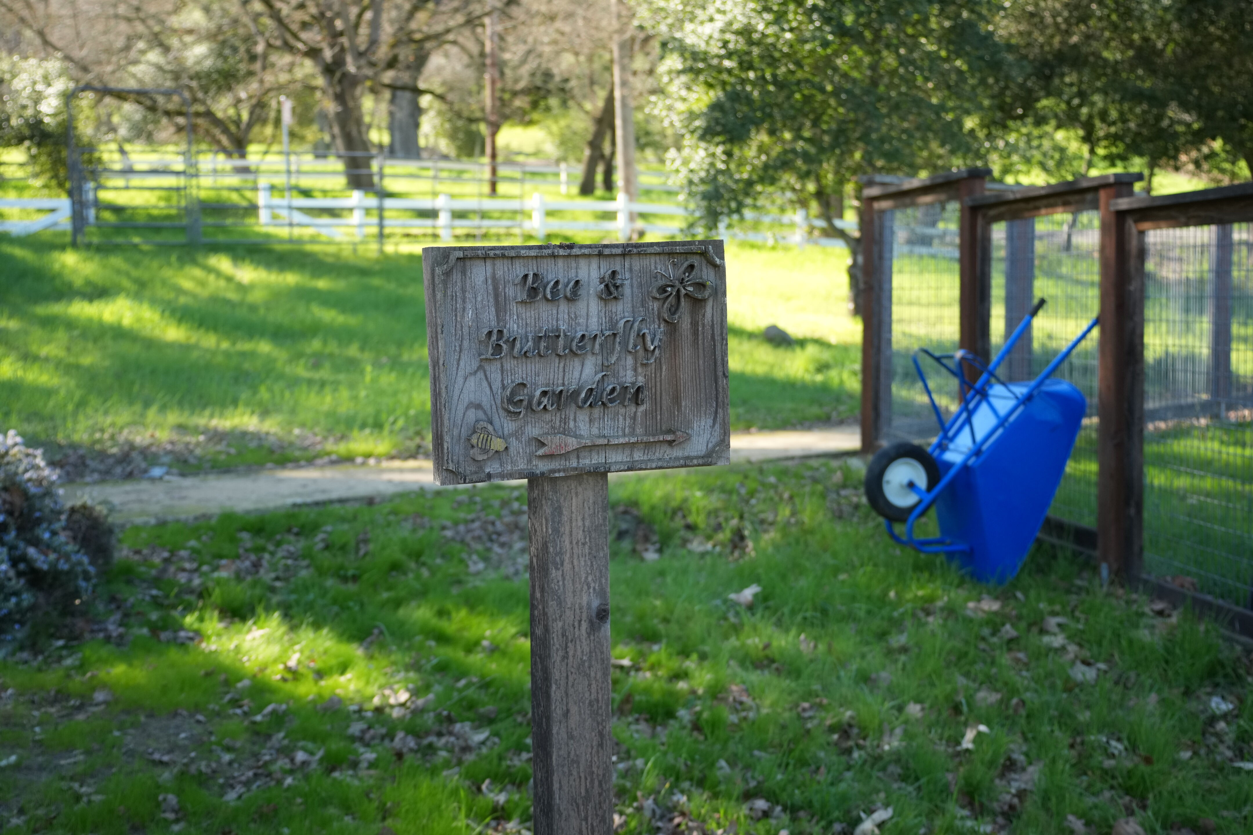Pleasanton Ridge Regional Park