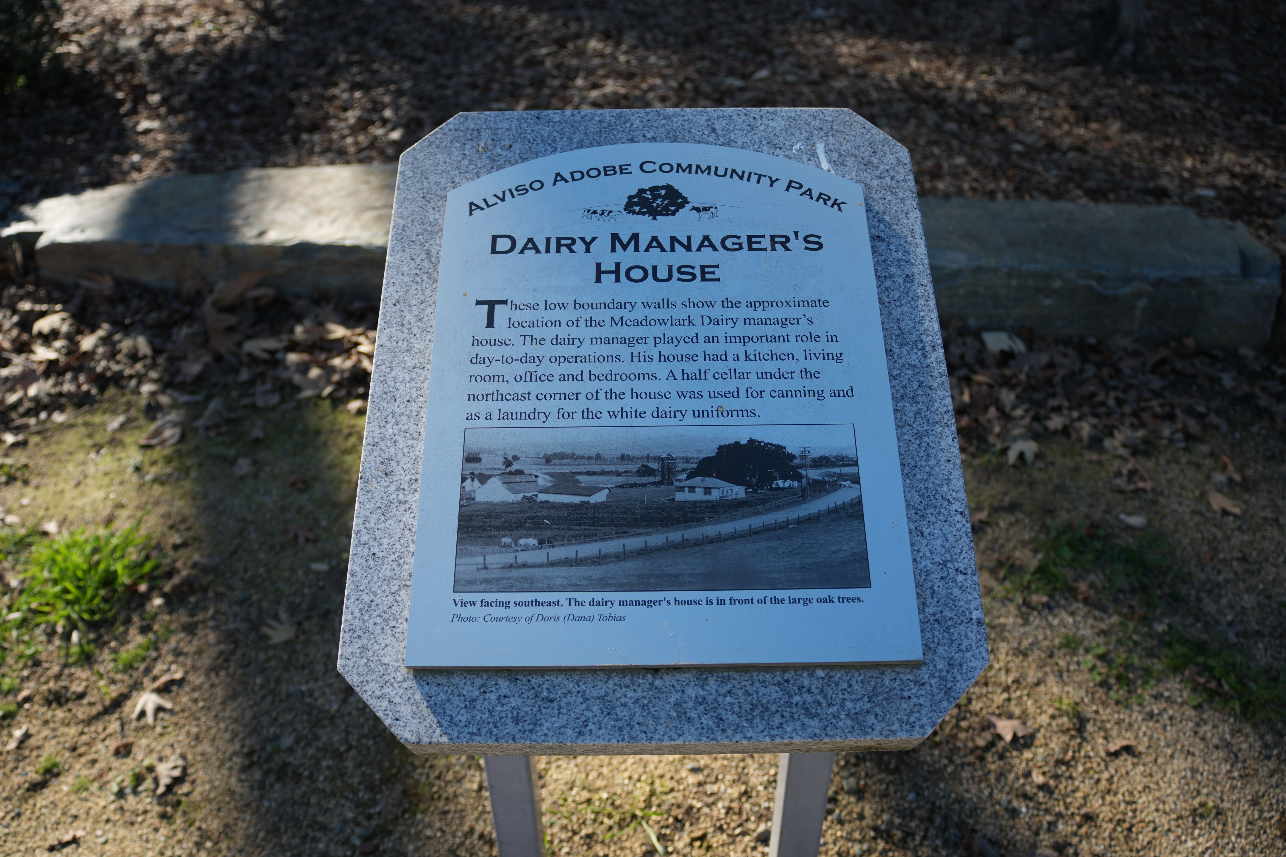 Pleasanton Ridge Regional Park