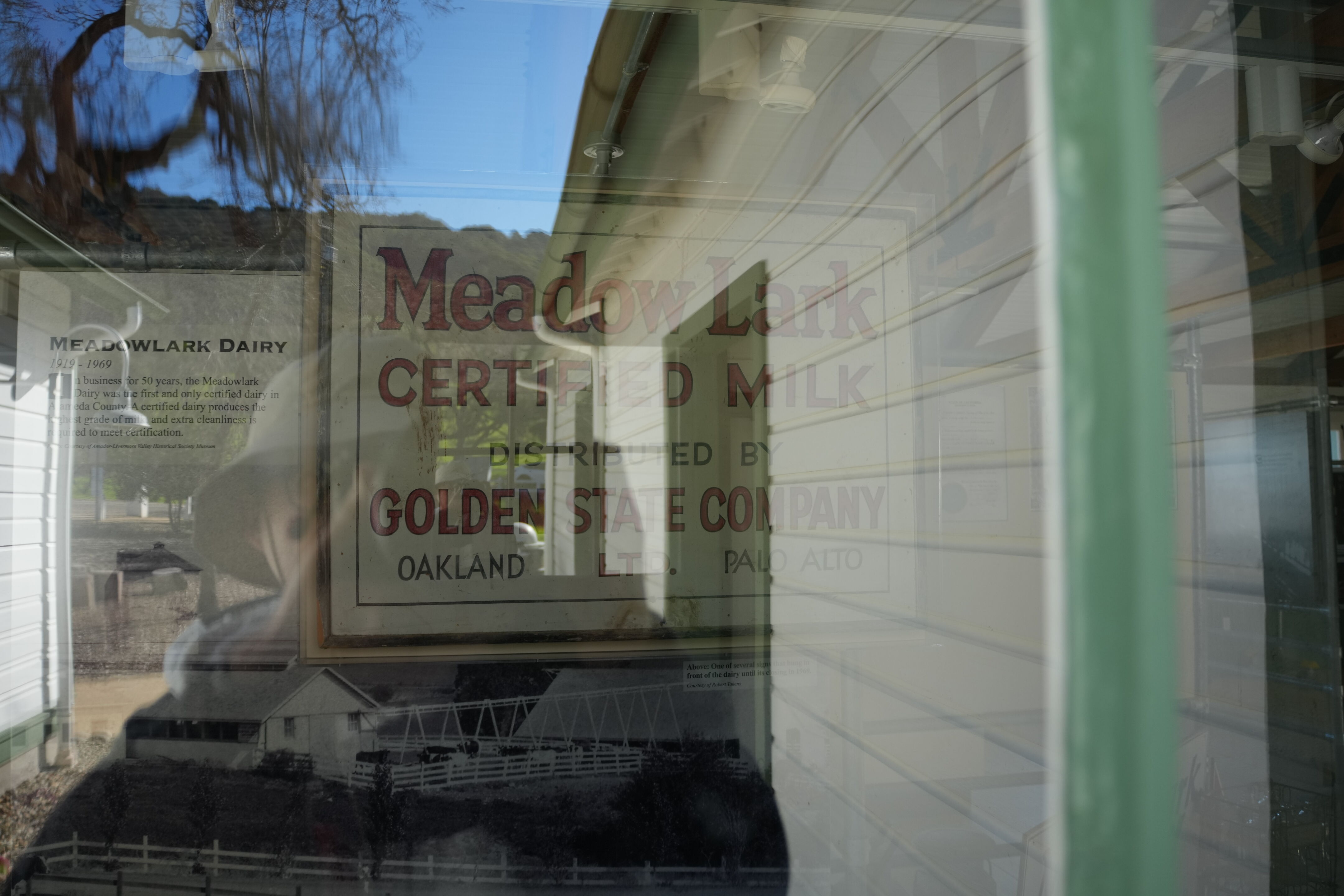 Pleasanton Ridge Regional Park