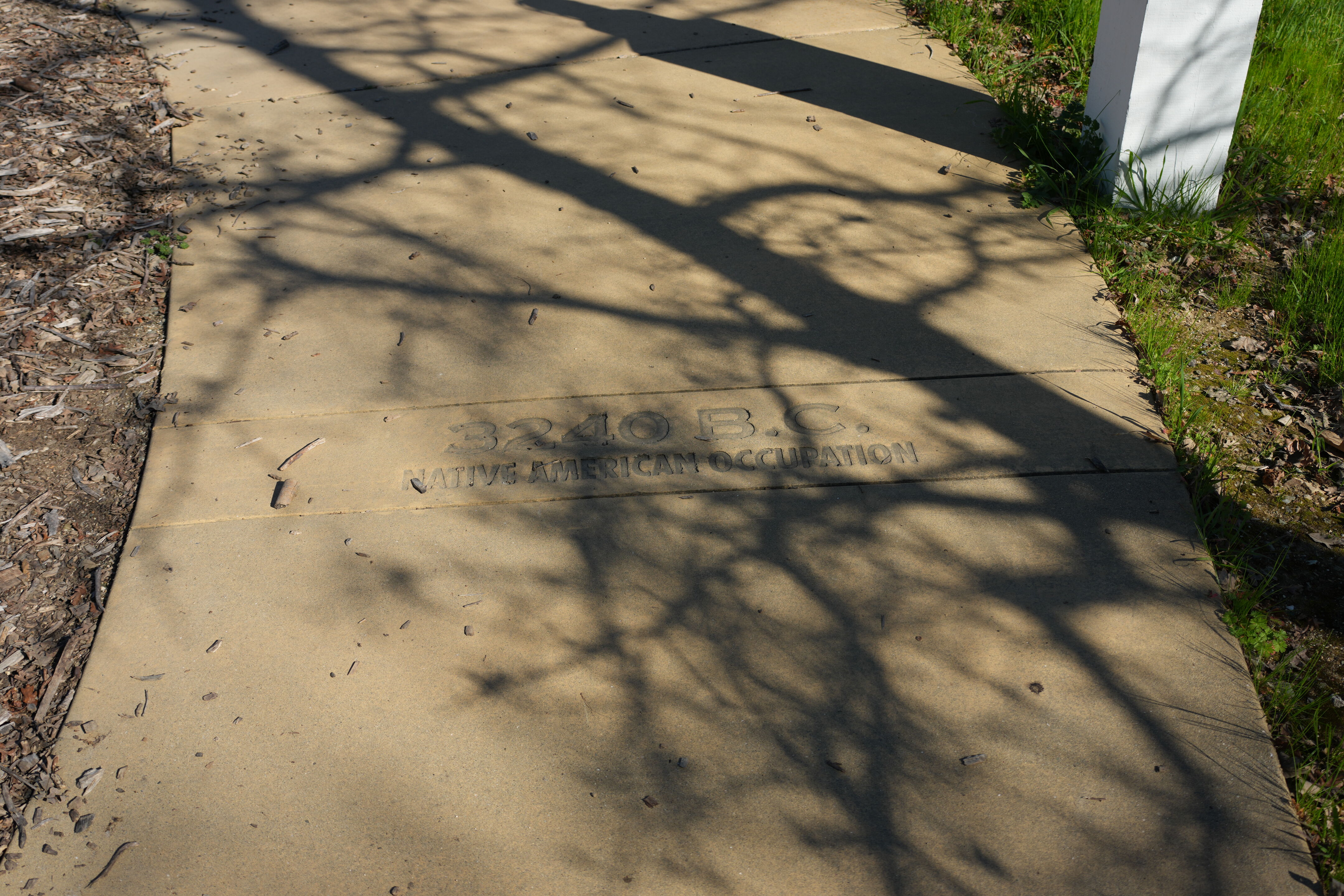 Pleasanton Ridge Regional Park