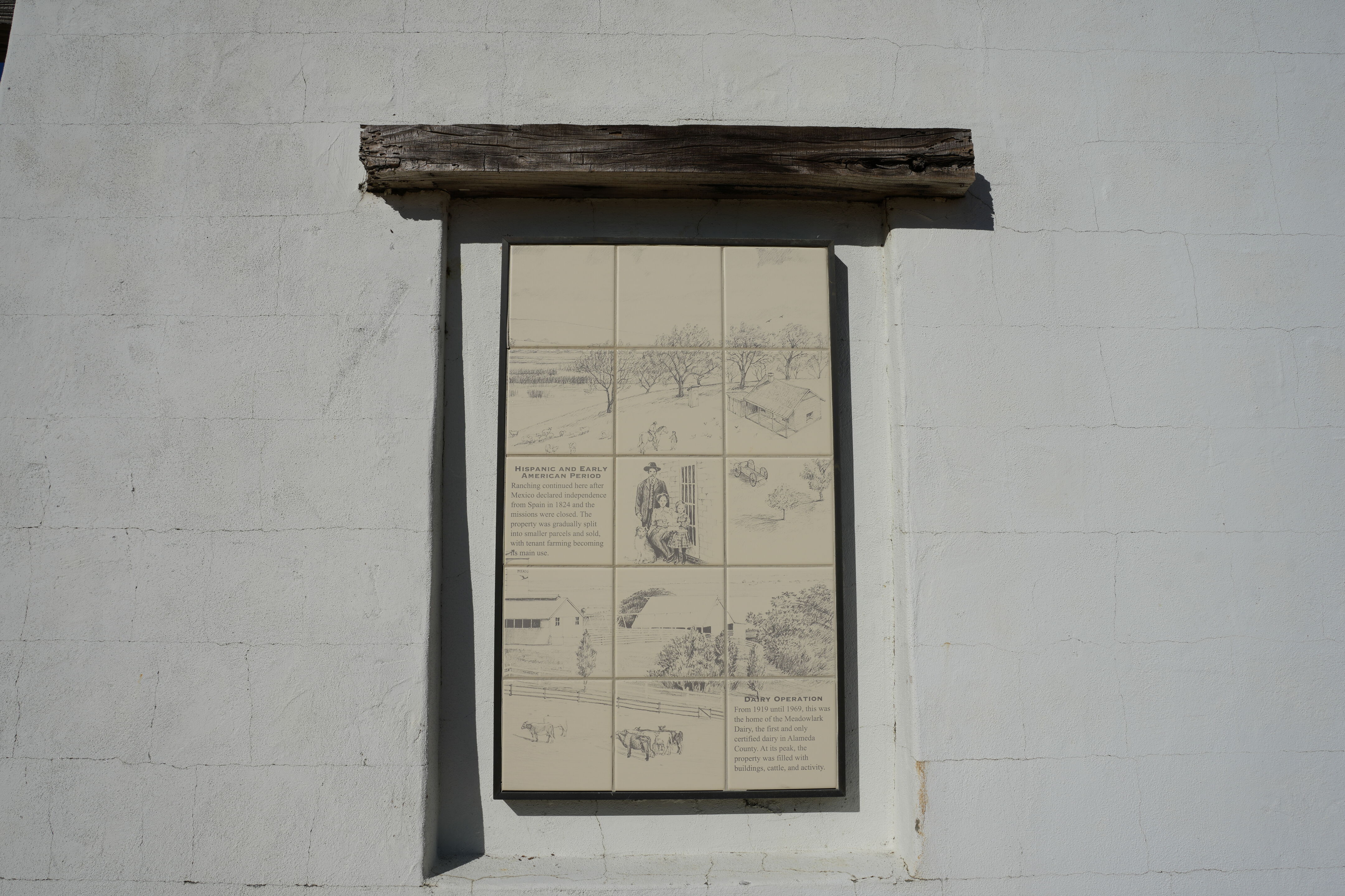 Pleasanton Ridge Regional Park