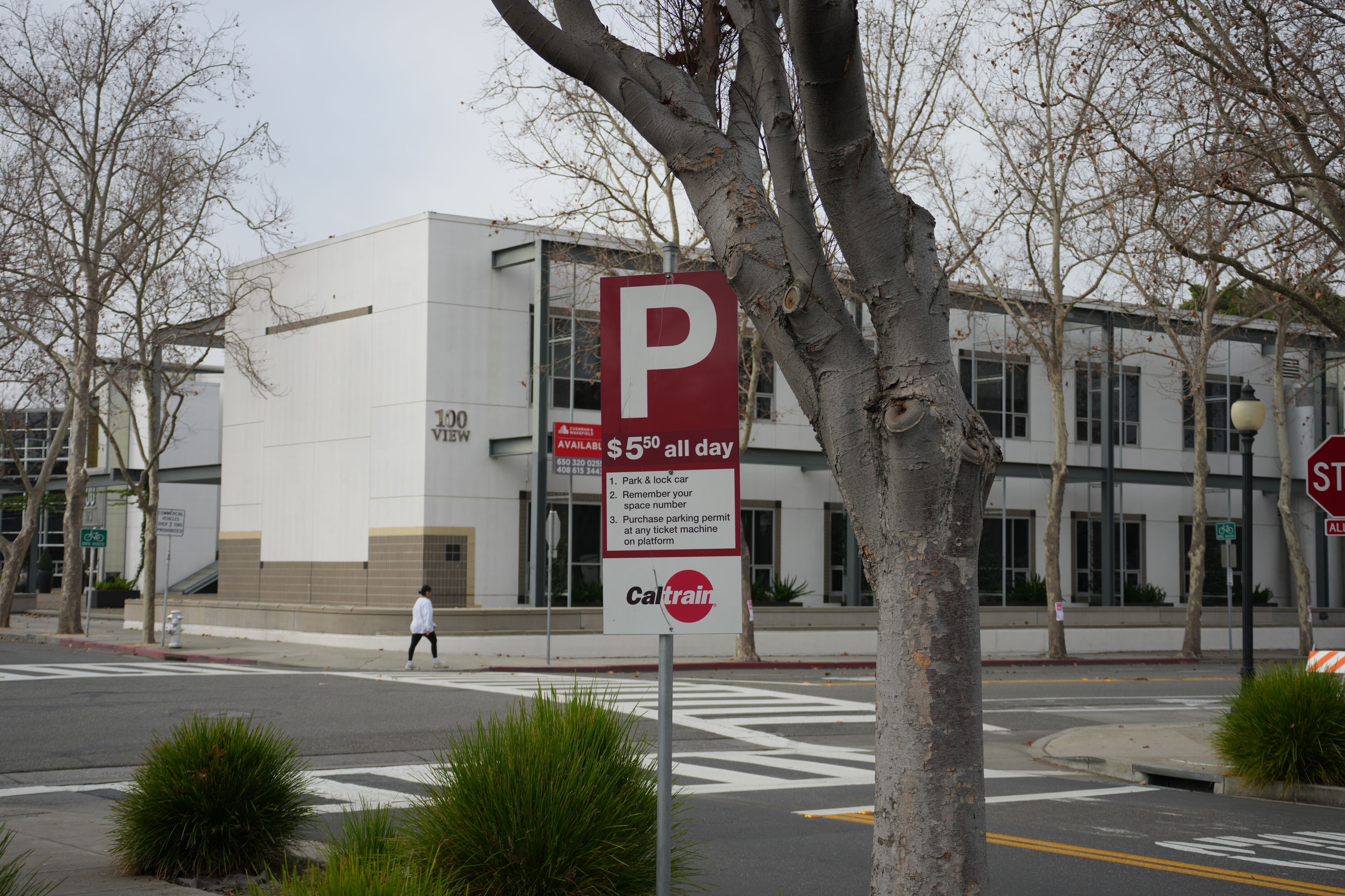 Mountain View Downtown