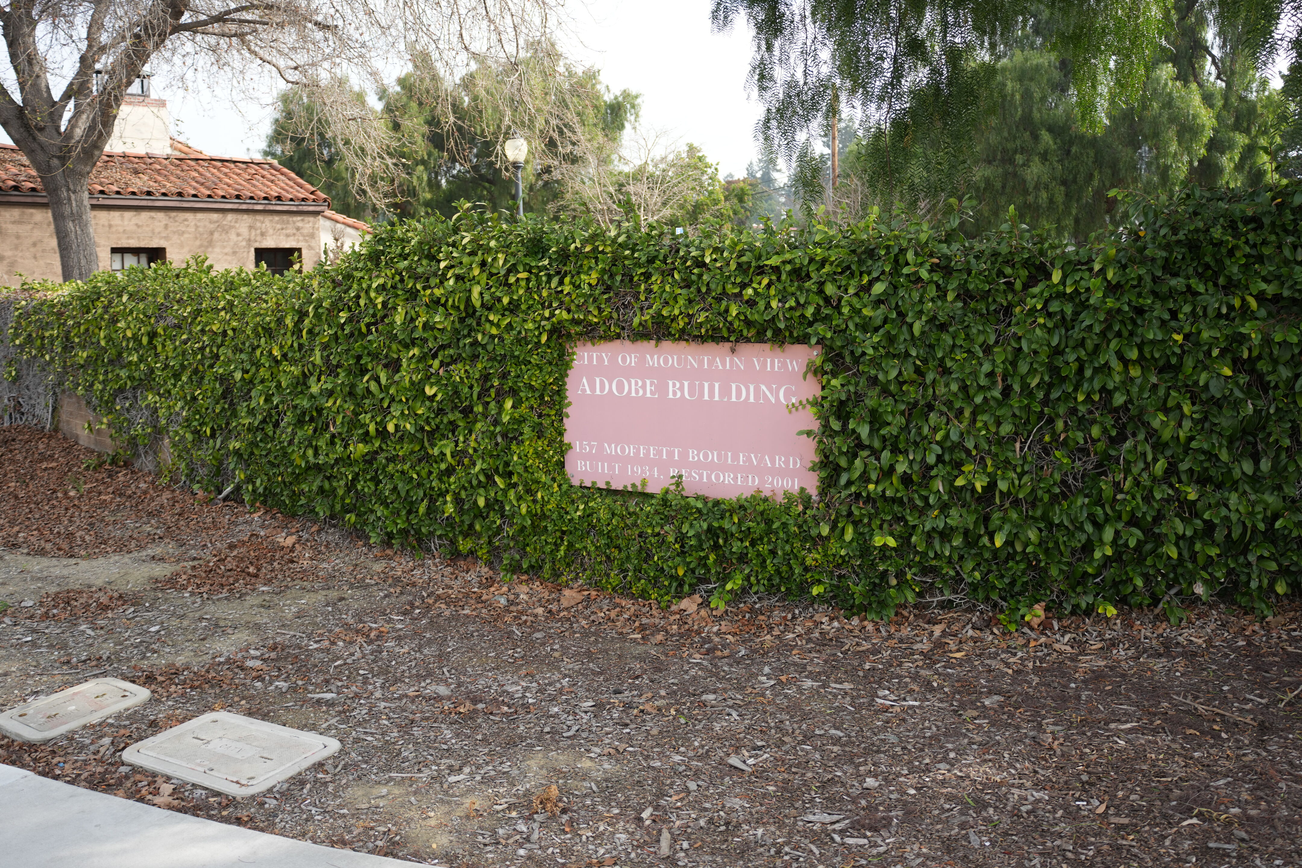 Mountain View Downtown