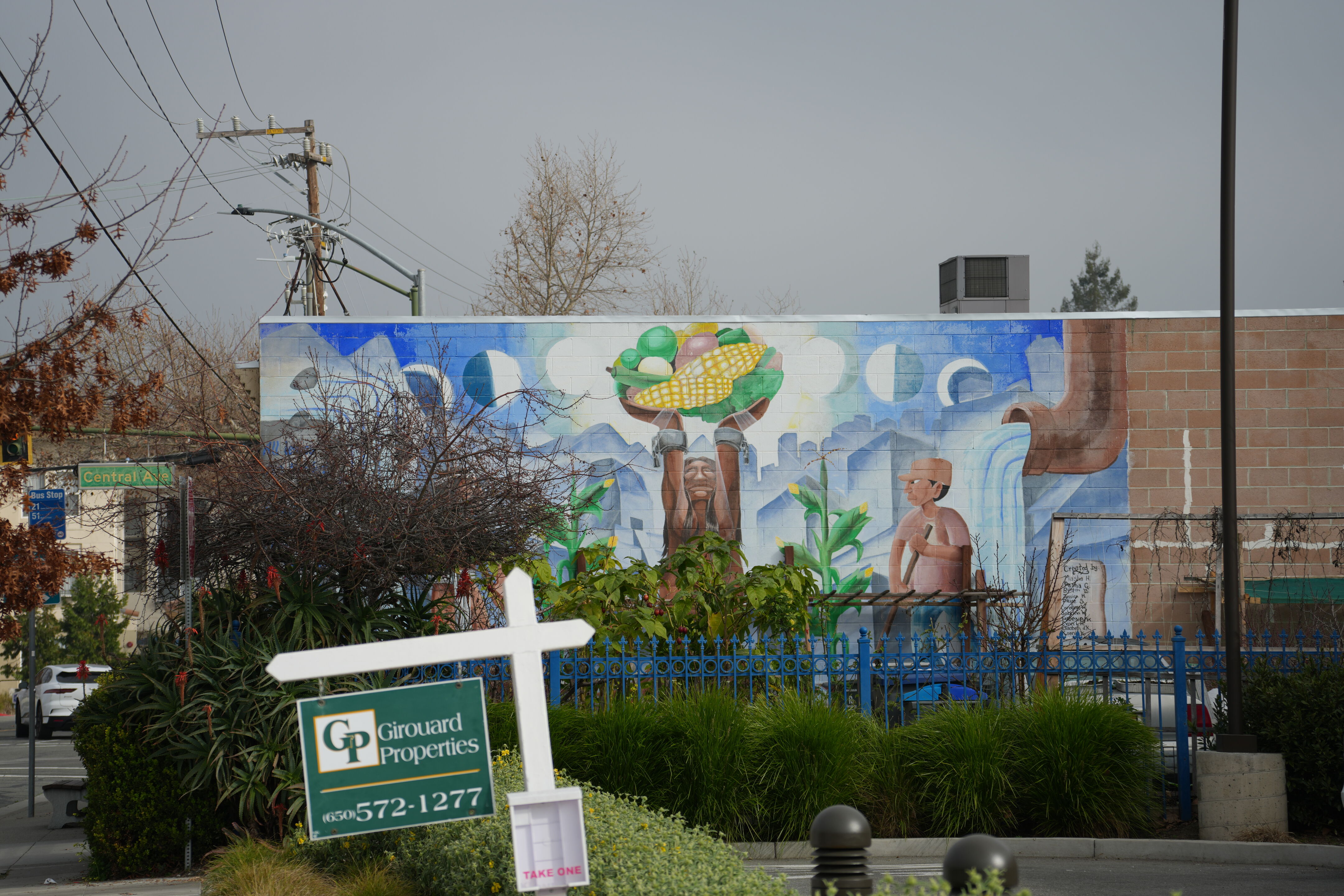 Mountain View Downtown