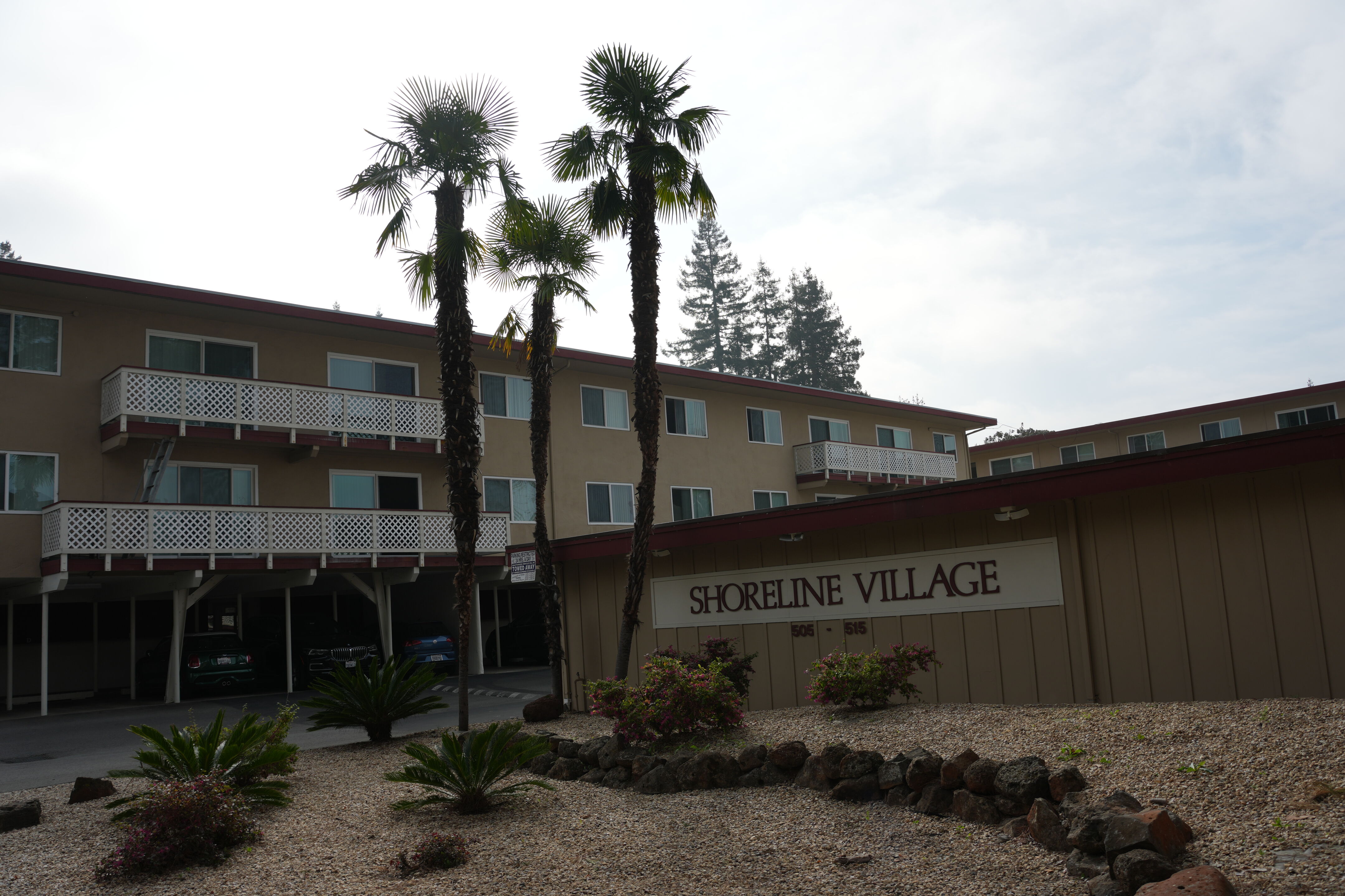 Mountain View Downtown