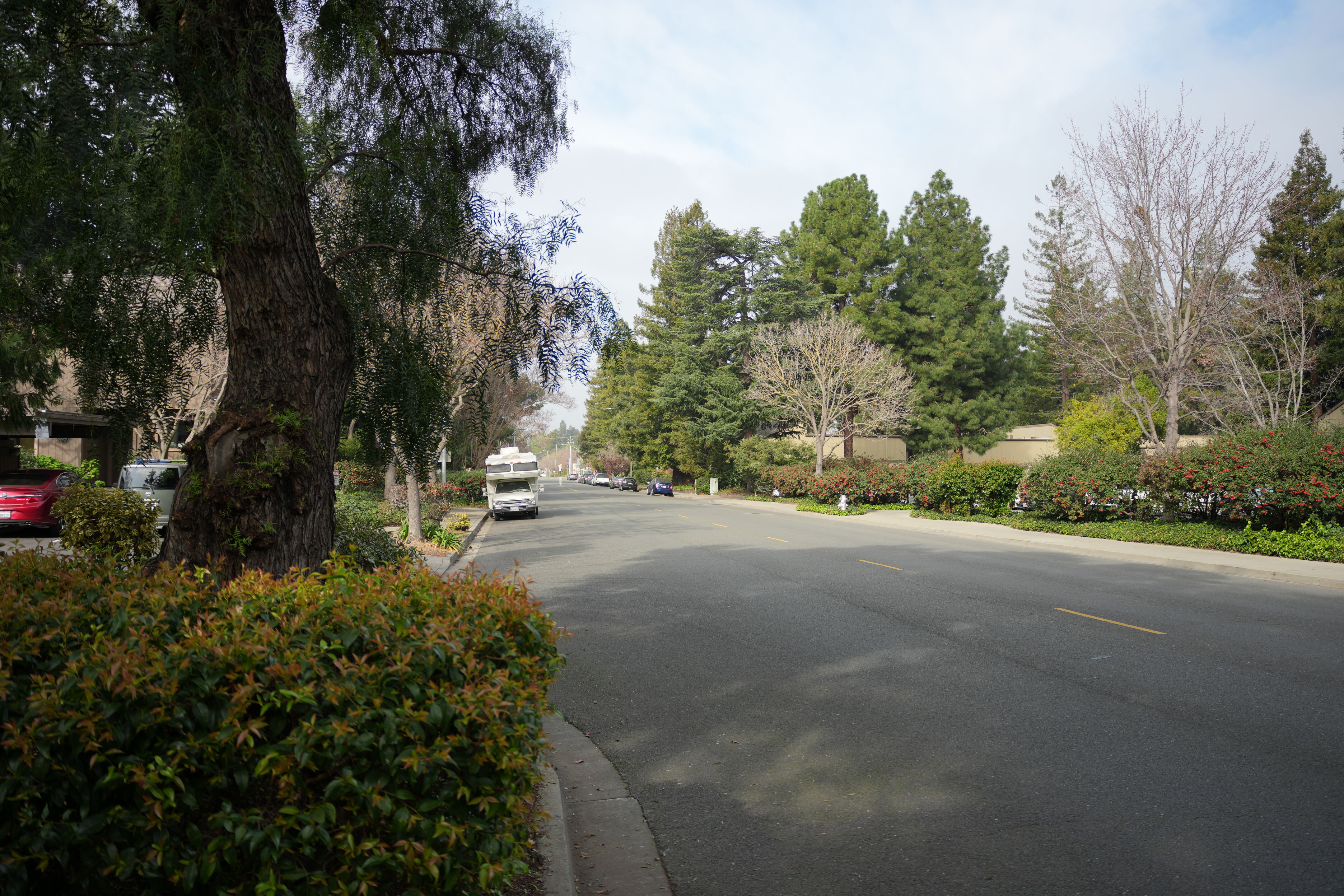 Mountain View Downtown