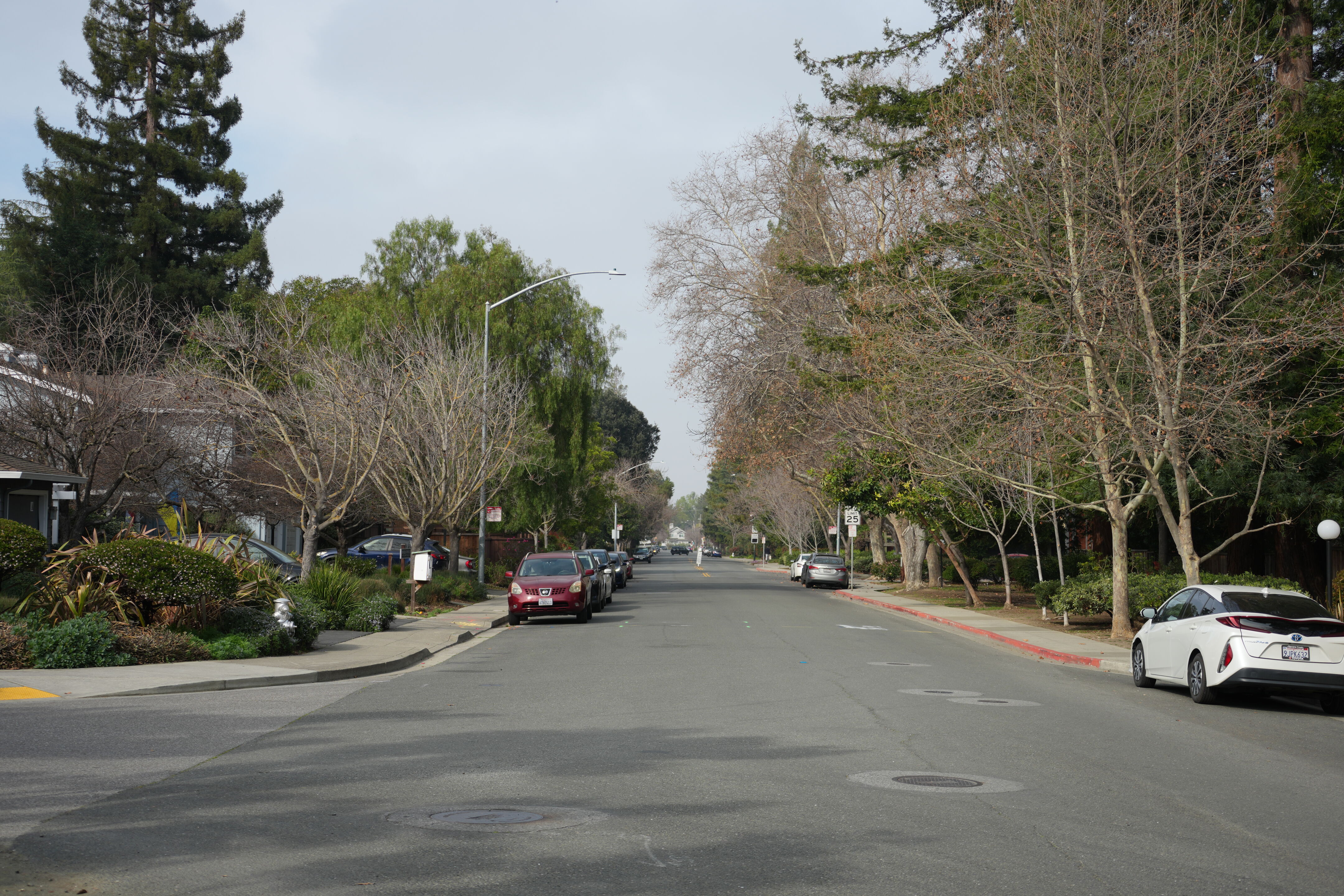 Mountain View Downtown