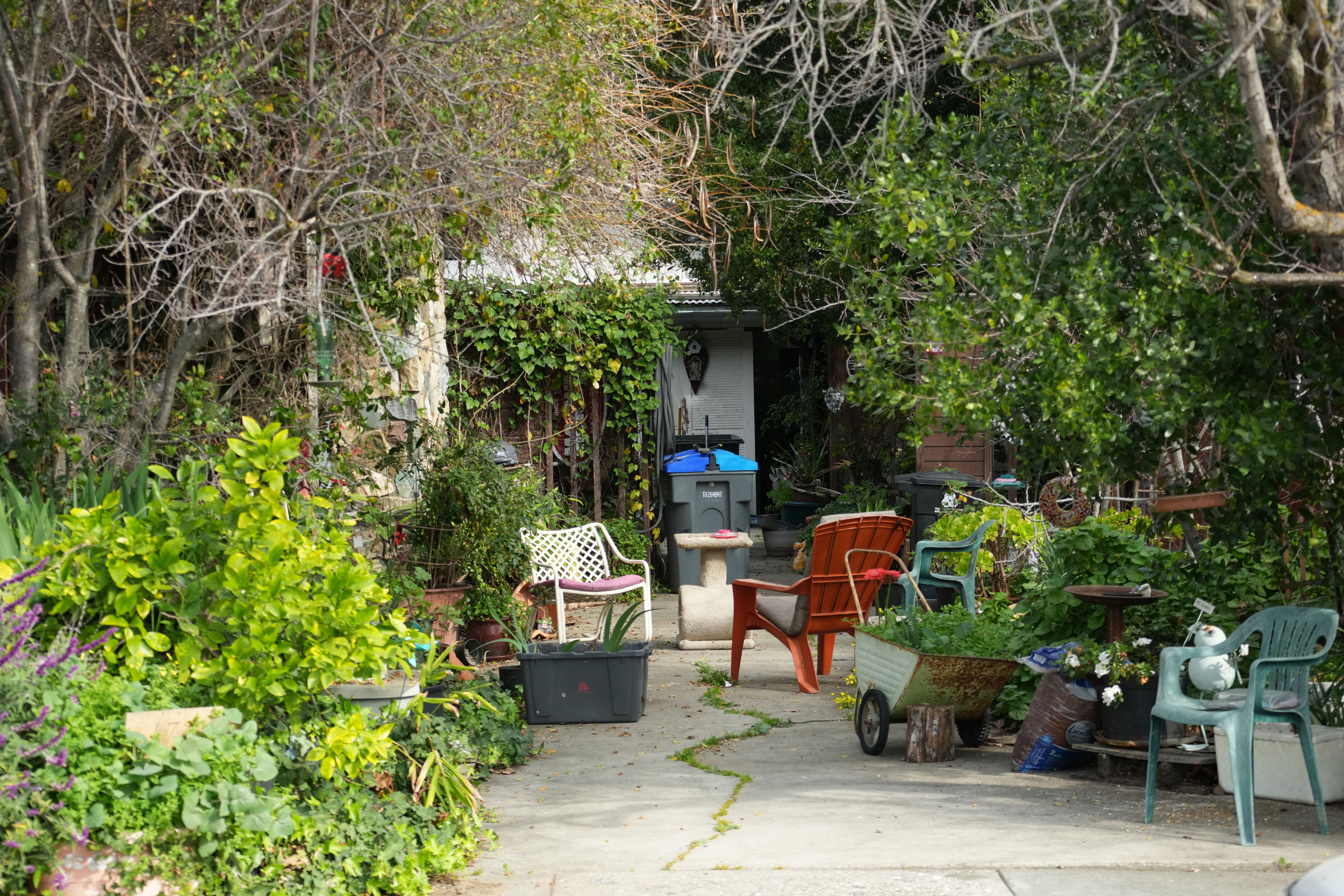 Mountain View Downtown