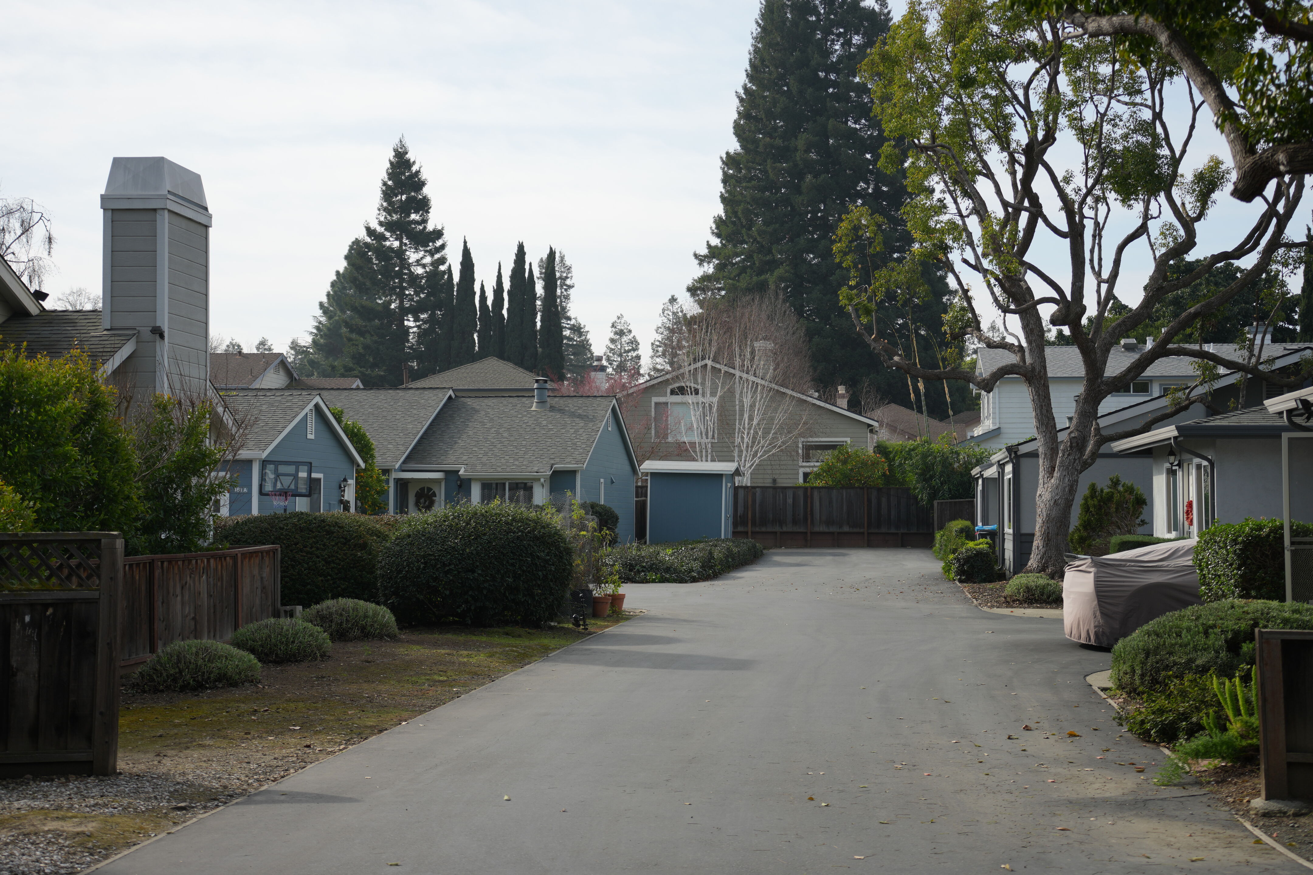 Mountain View Downtown